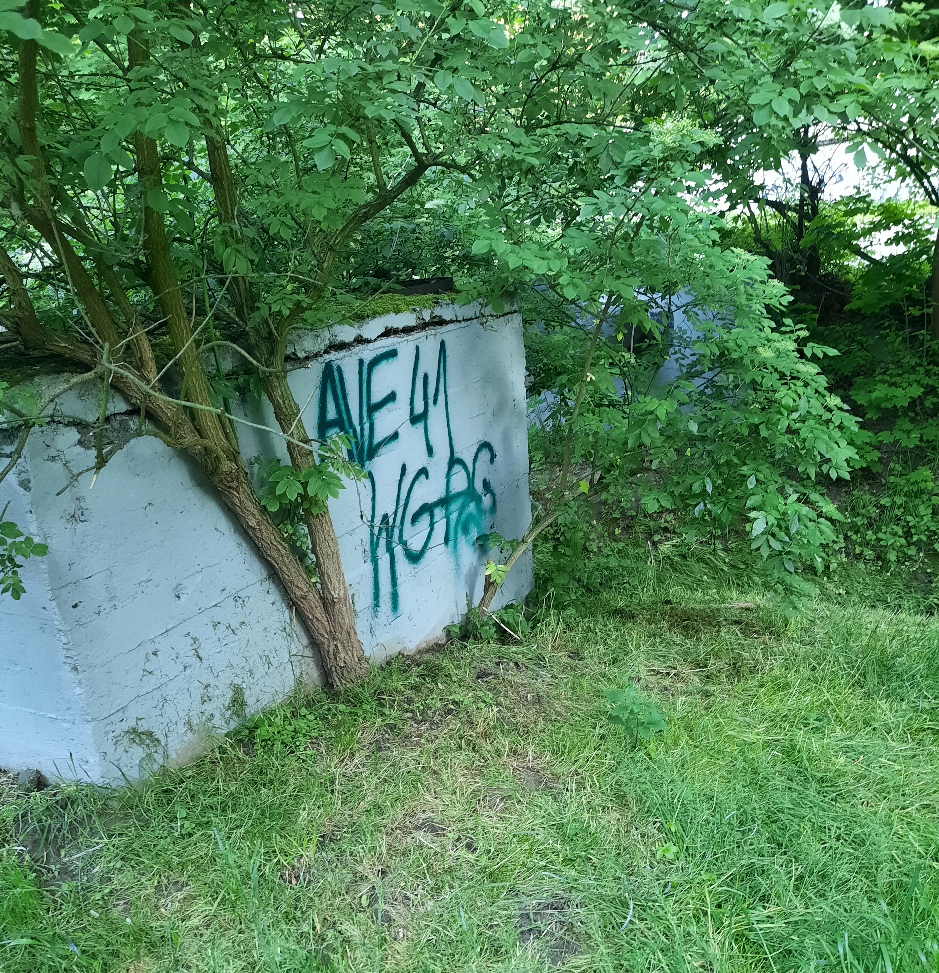 Zdjęcie przed zamalowaniem