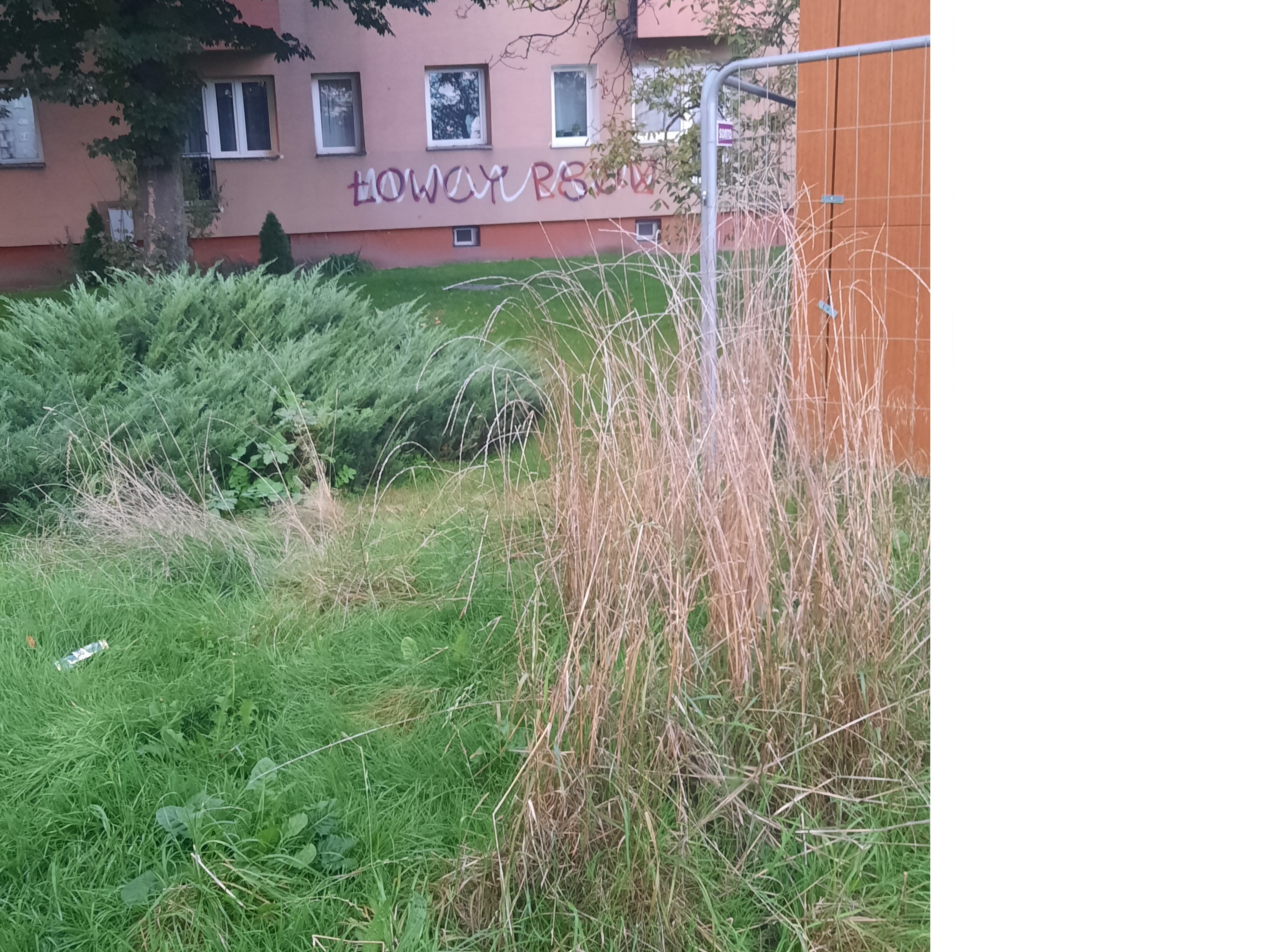 Zdjęcie przed zamalowaniem