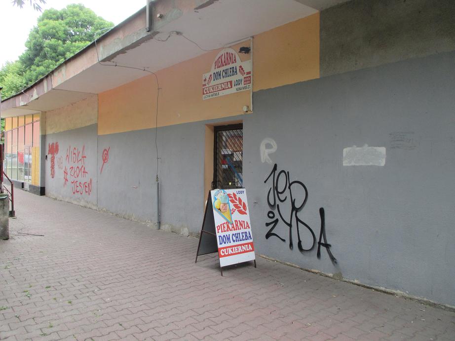 Zdjęcie przed zamalowaniem