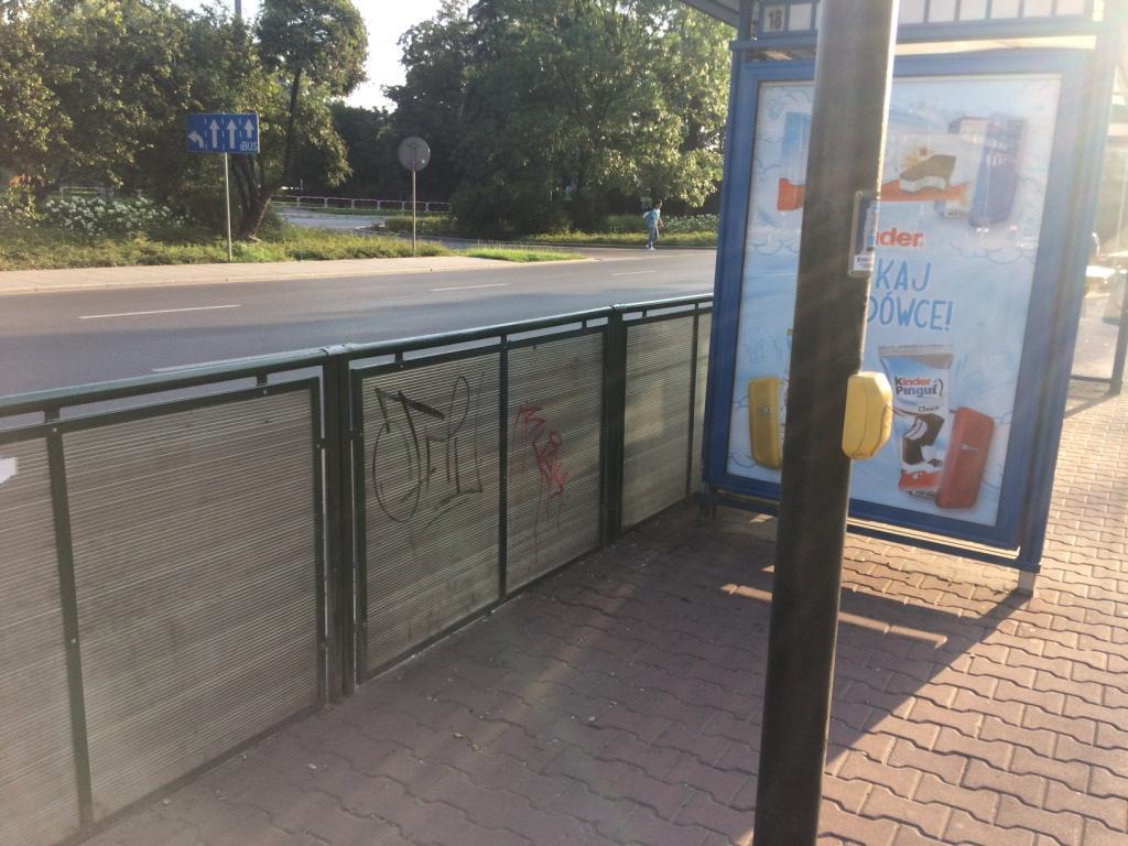 Zdjęcie przed zamalowaniem