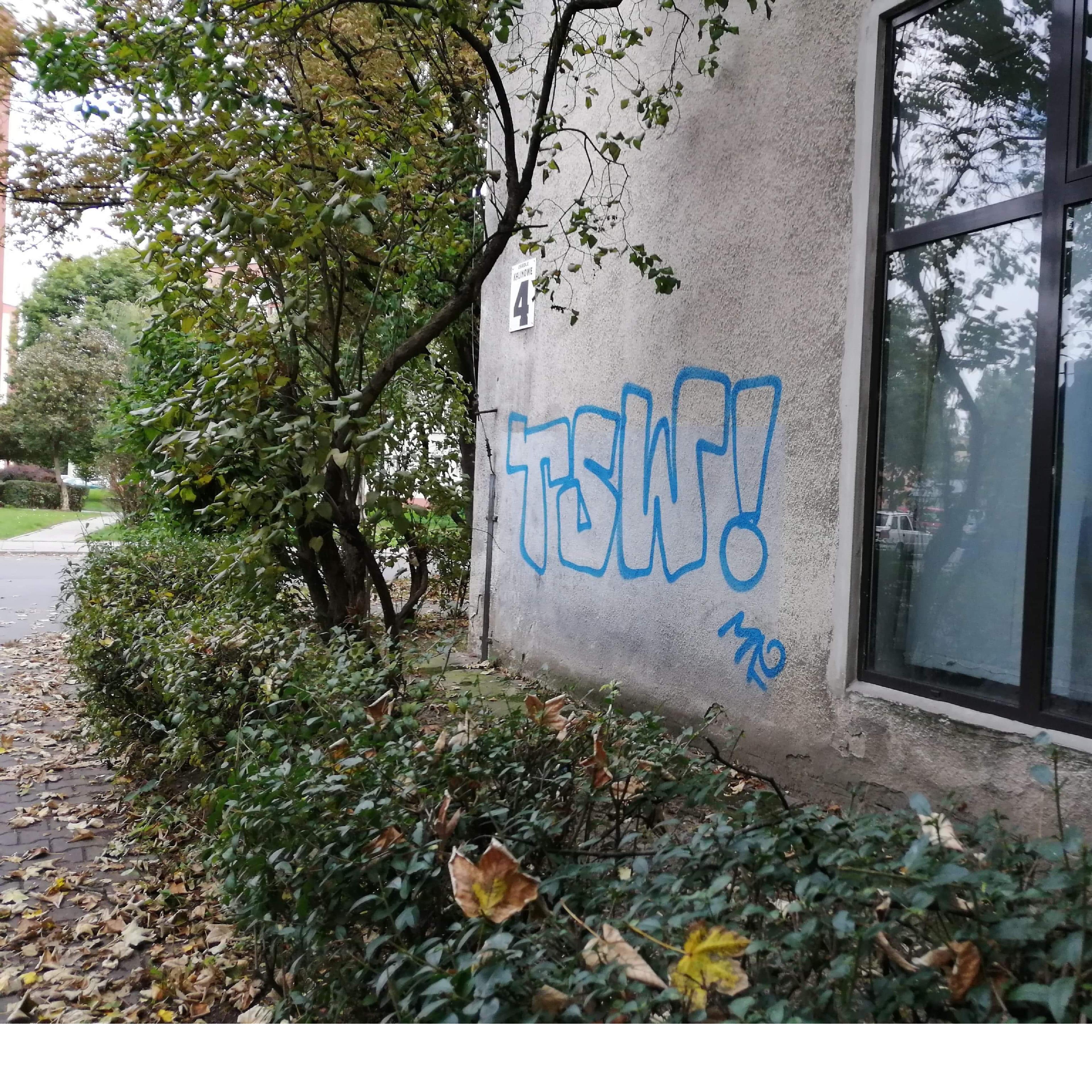 Zdjęcie przed zamalowaniem