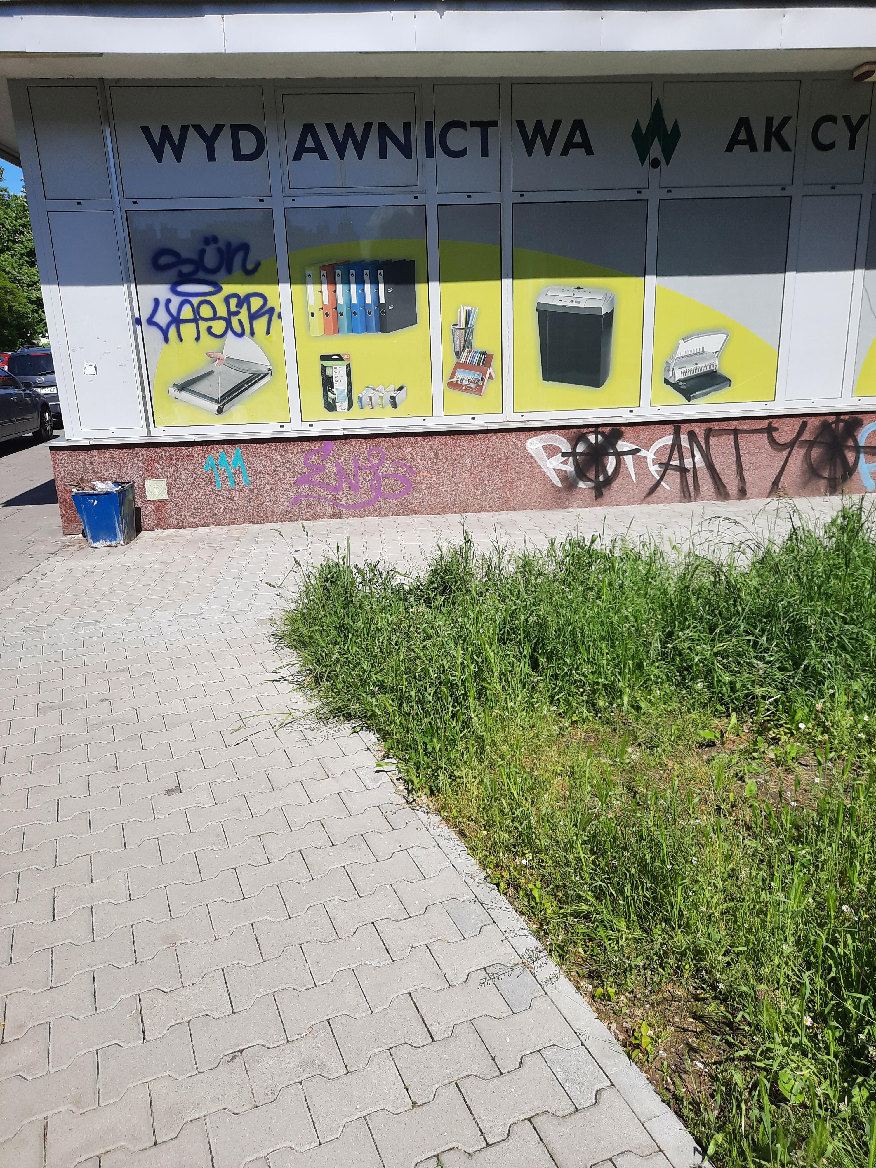 Zdjęcie przed zamalowaniem