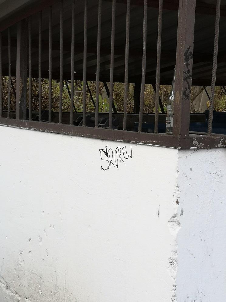 Zdjęcie przed zamalowaniem