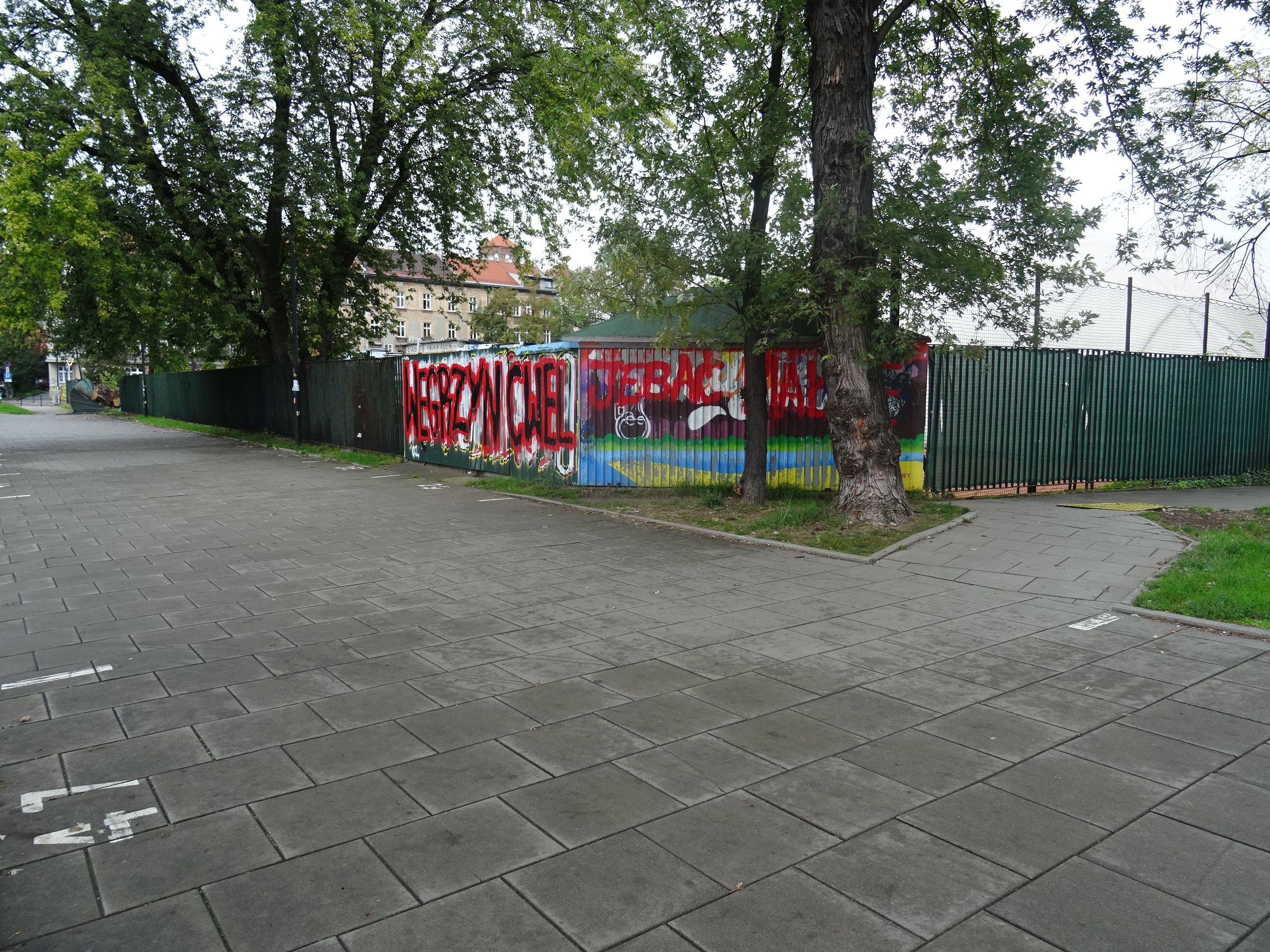 Zdjęcie przed zamalowaniem