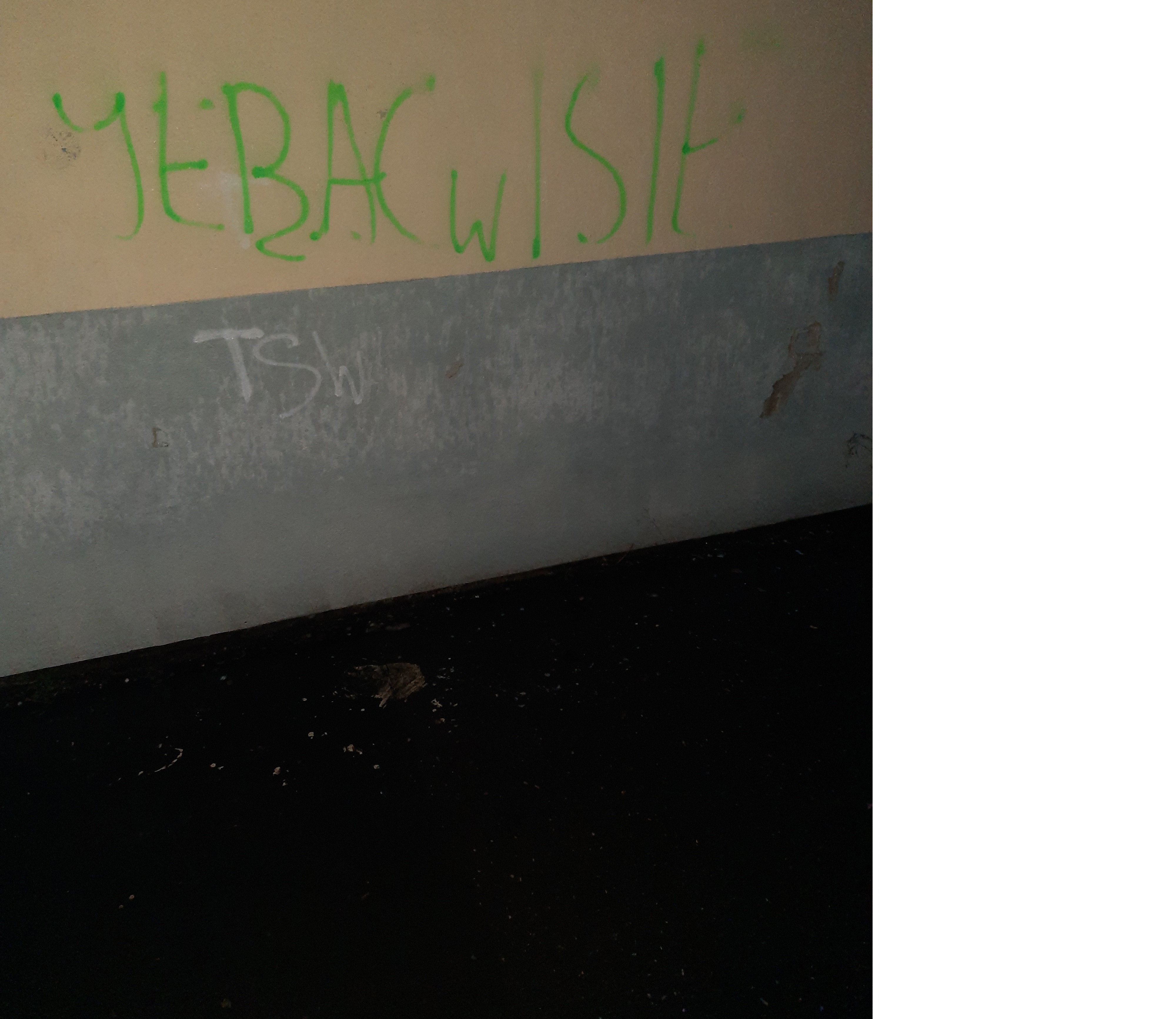 Zdjęcie przed zamalowaniem