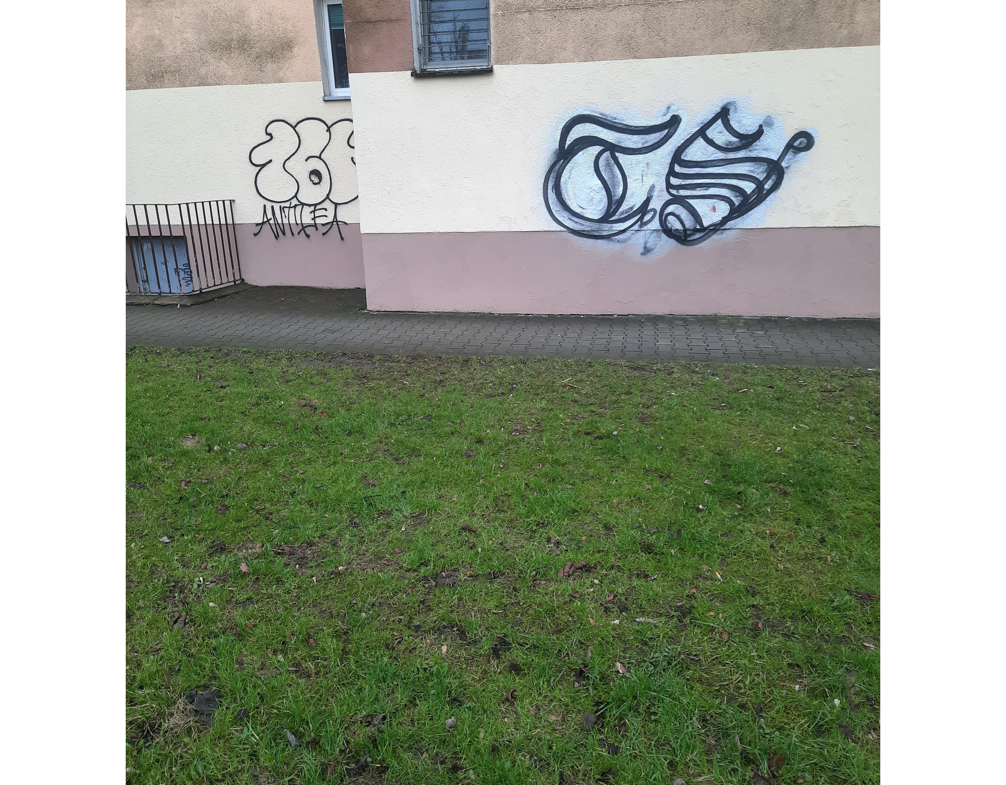 Zdjęcie przed zamalowaniem