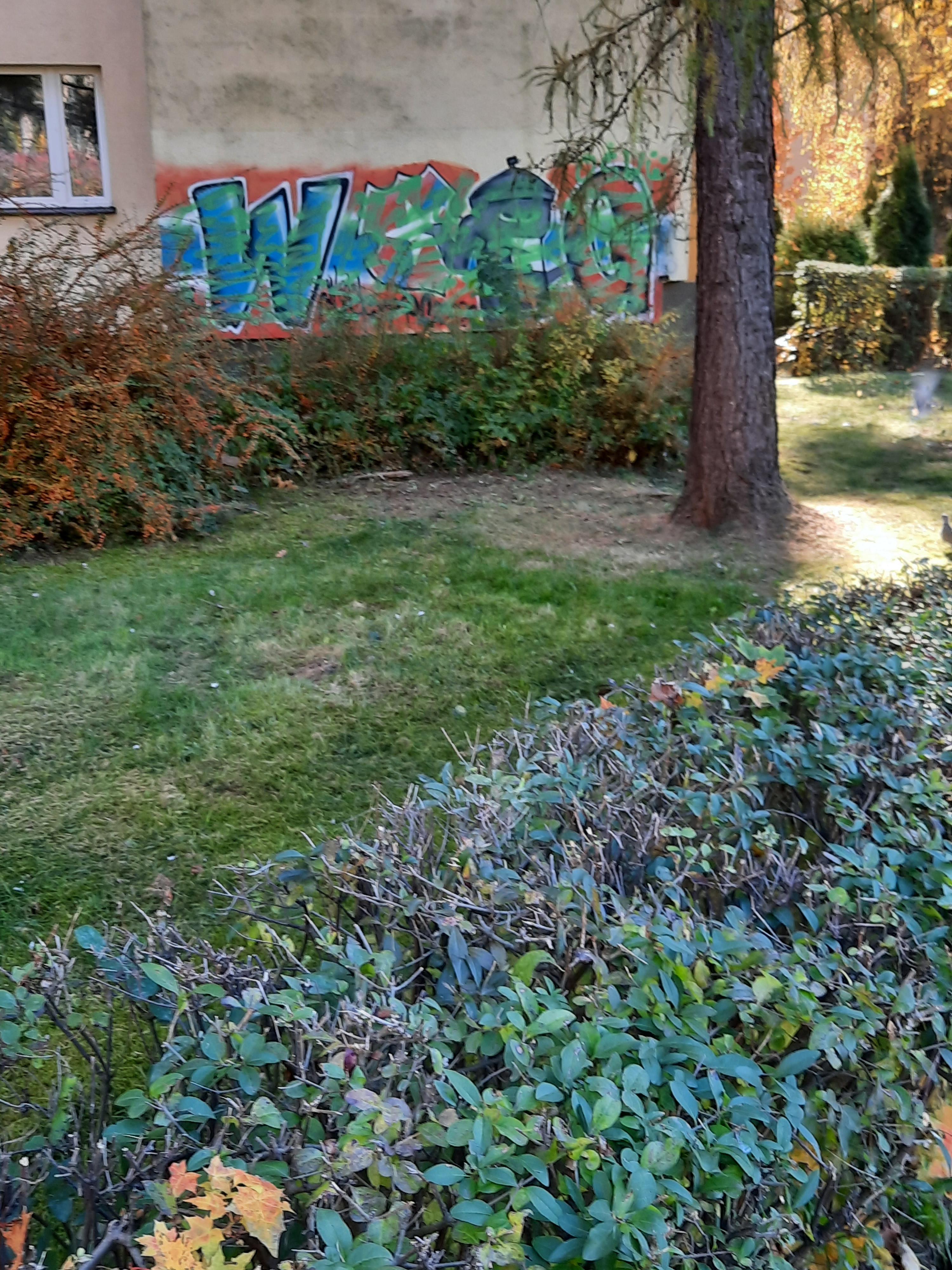 Zdjęcie przed zamalowaniem