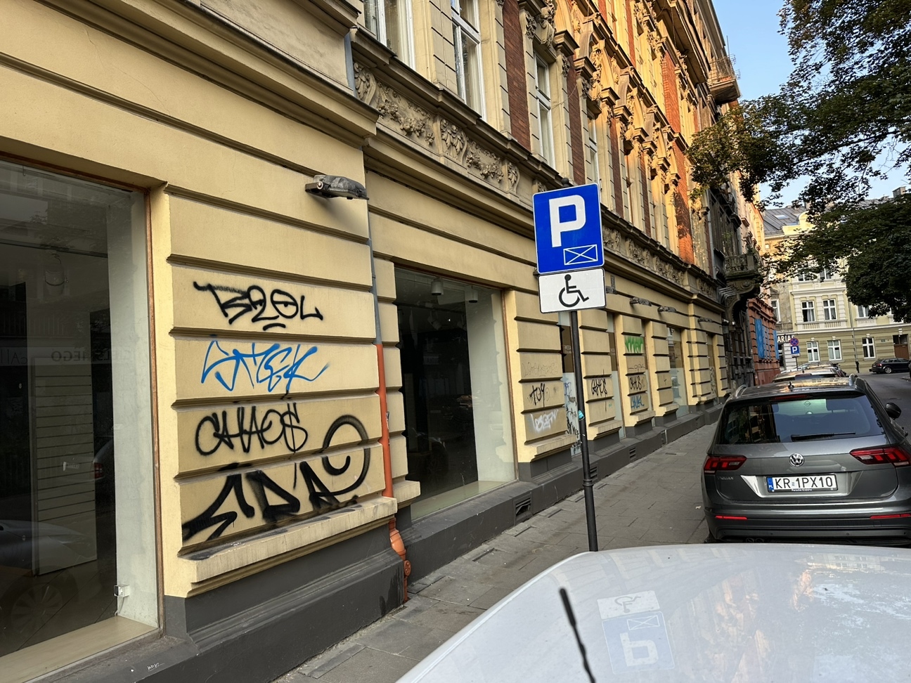 Zdjęcie przed zamalowaniem