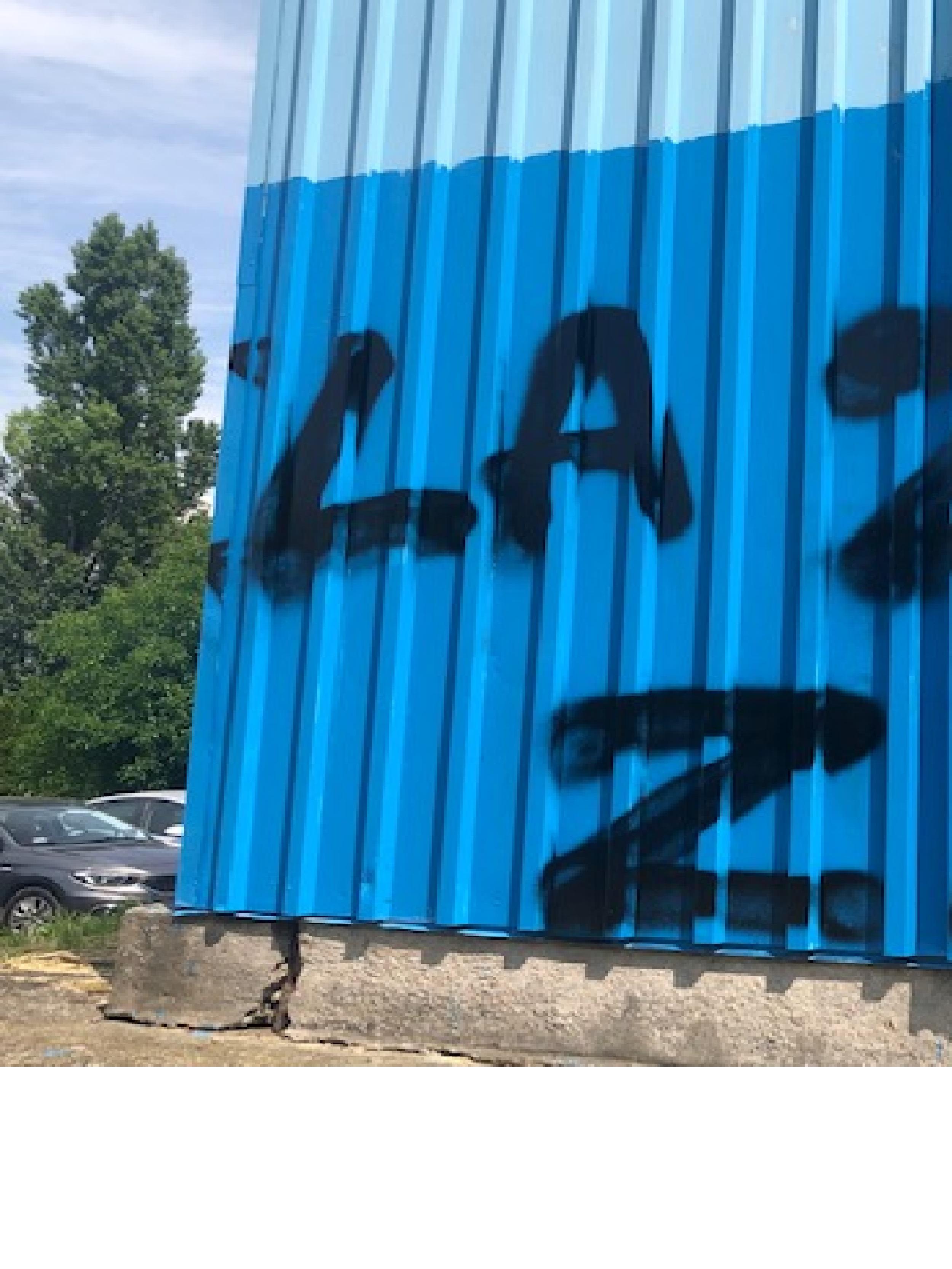 Zdjęcie przed zamalowaniem