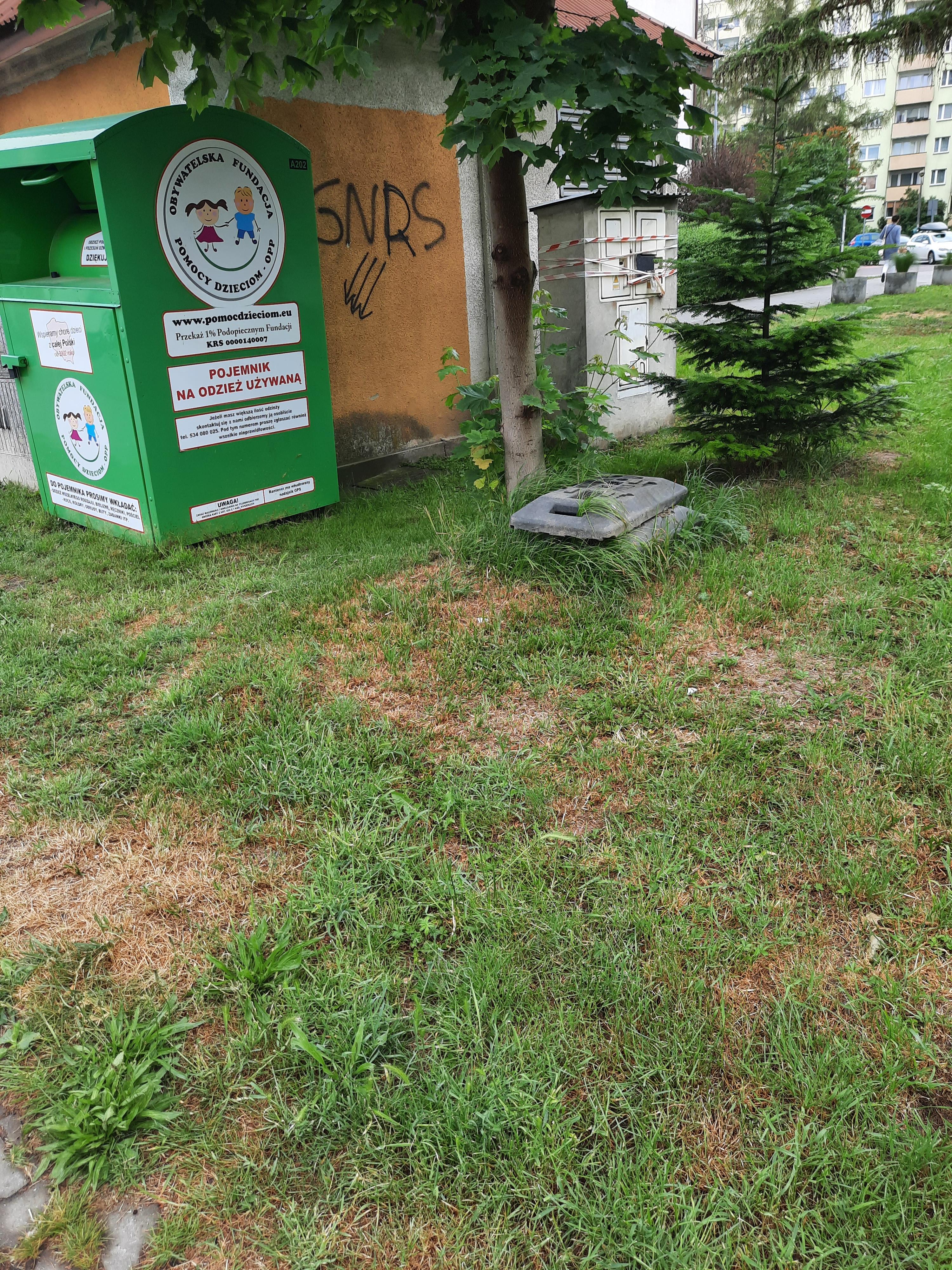 Zdjęcie przed zamalowaniem