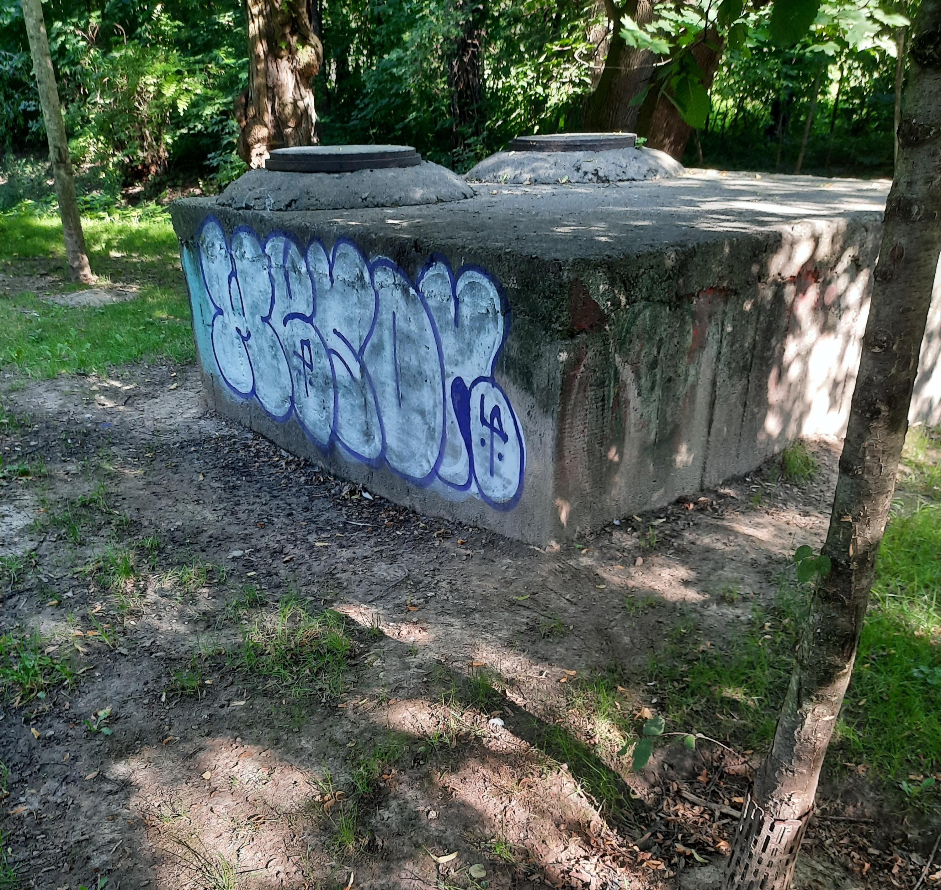 Zdjęcie przed zamalowaniem