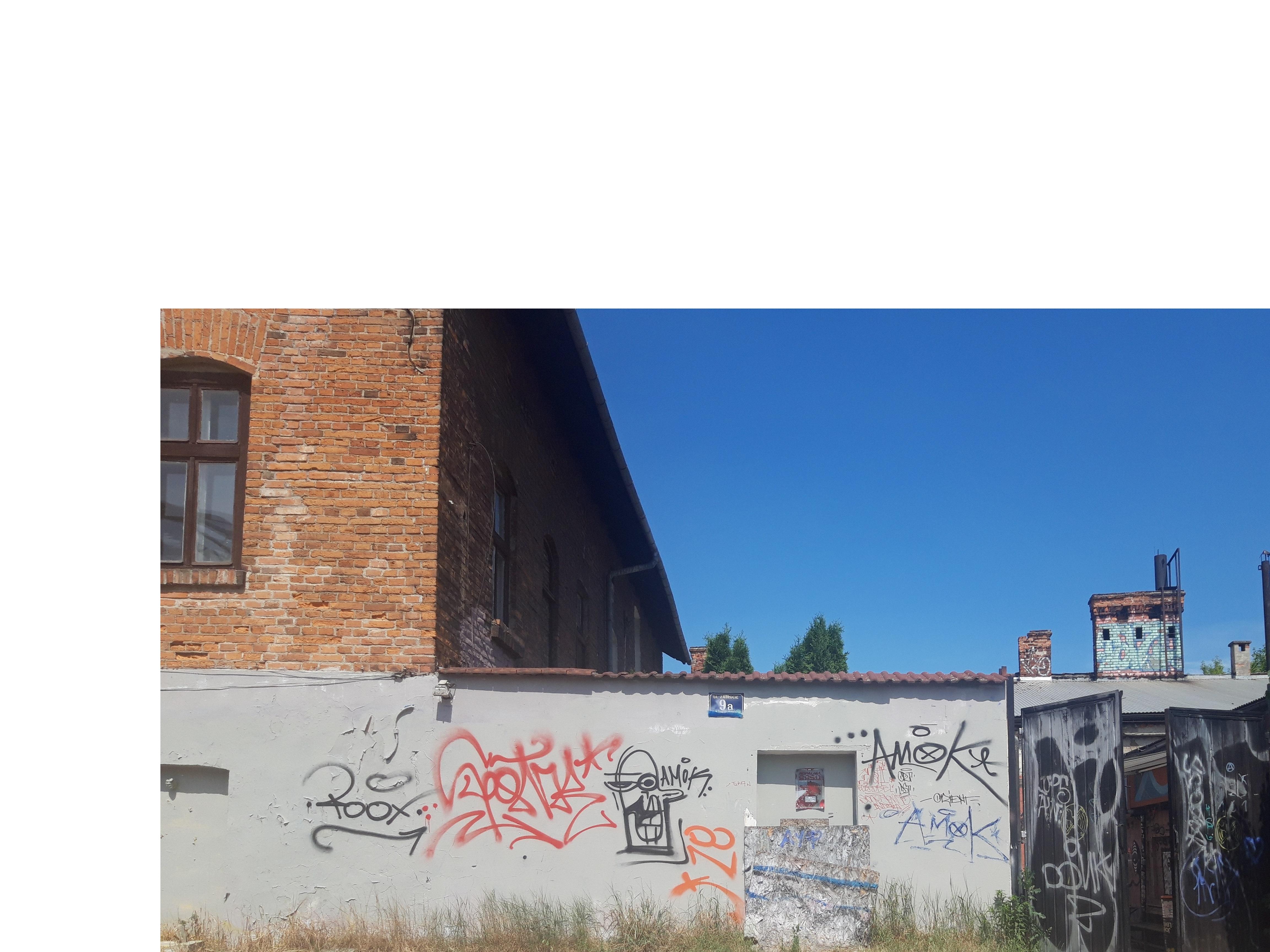 Zdjęcie przed zamalowaniem