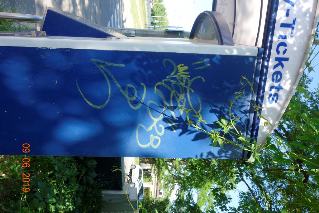 Zdjęcie przed zamalowaniem