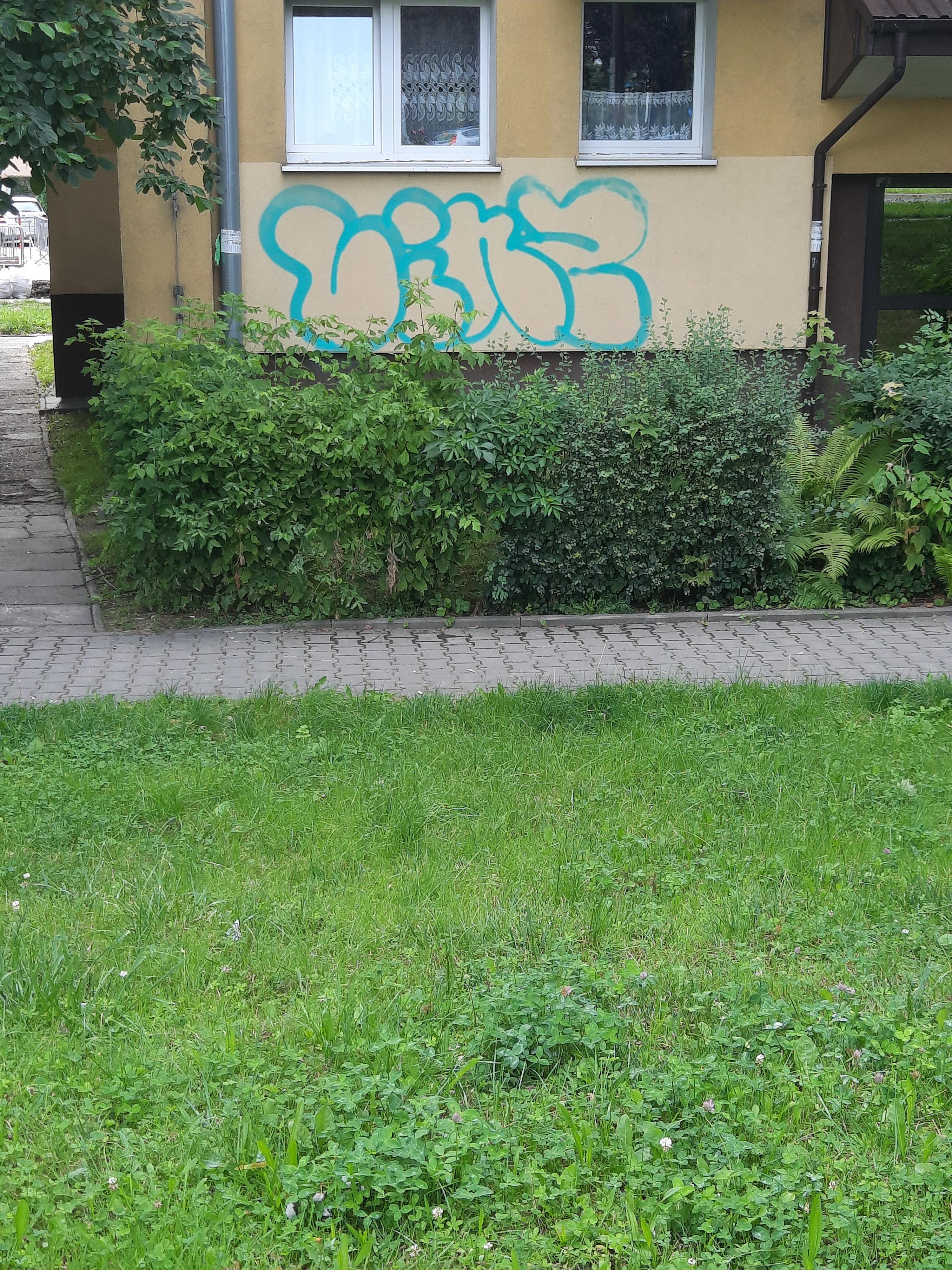 Zdjęcie przed zamalowaniem