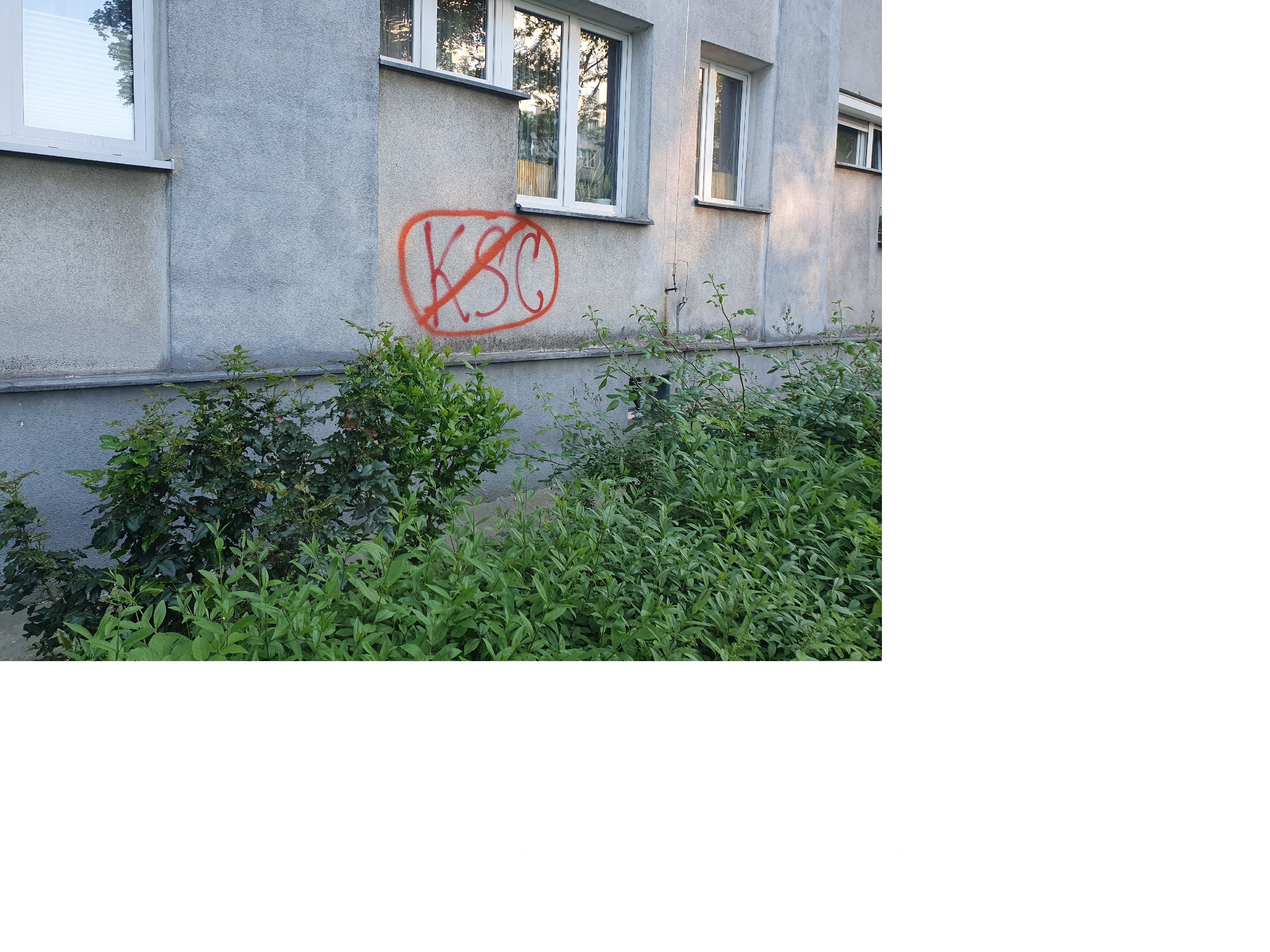 Zdjęcie przed zamalowaniem