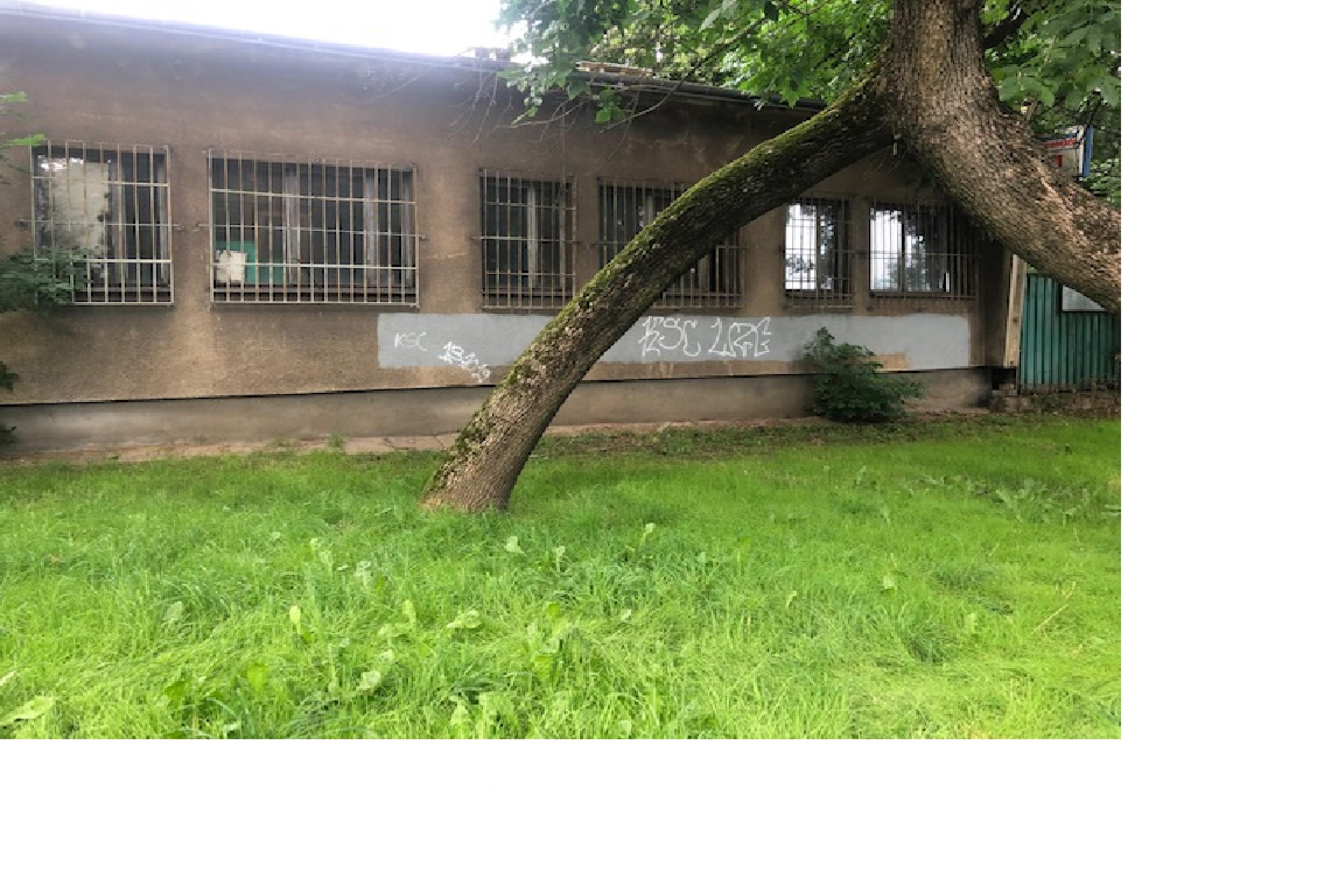 Zdjęcie przed zamalowaniem