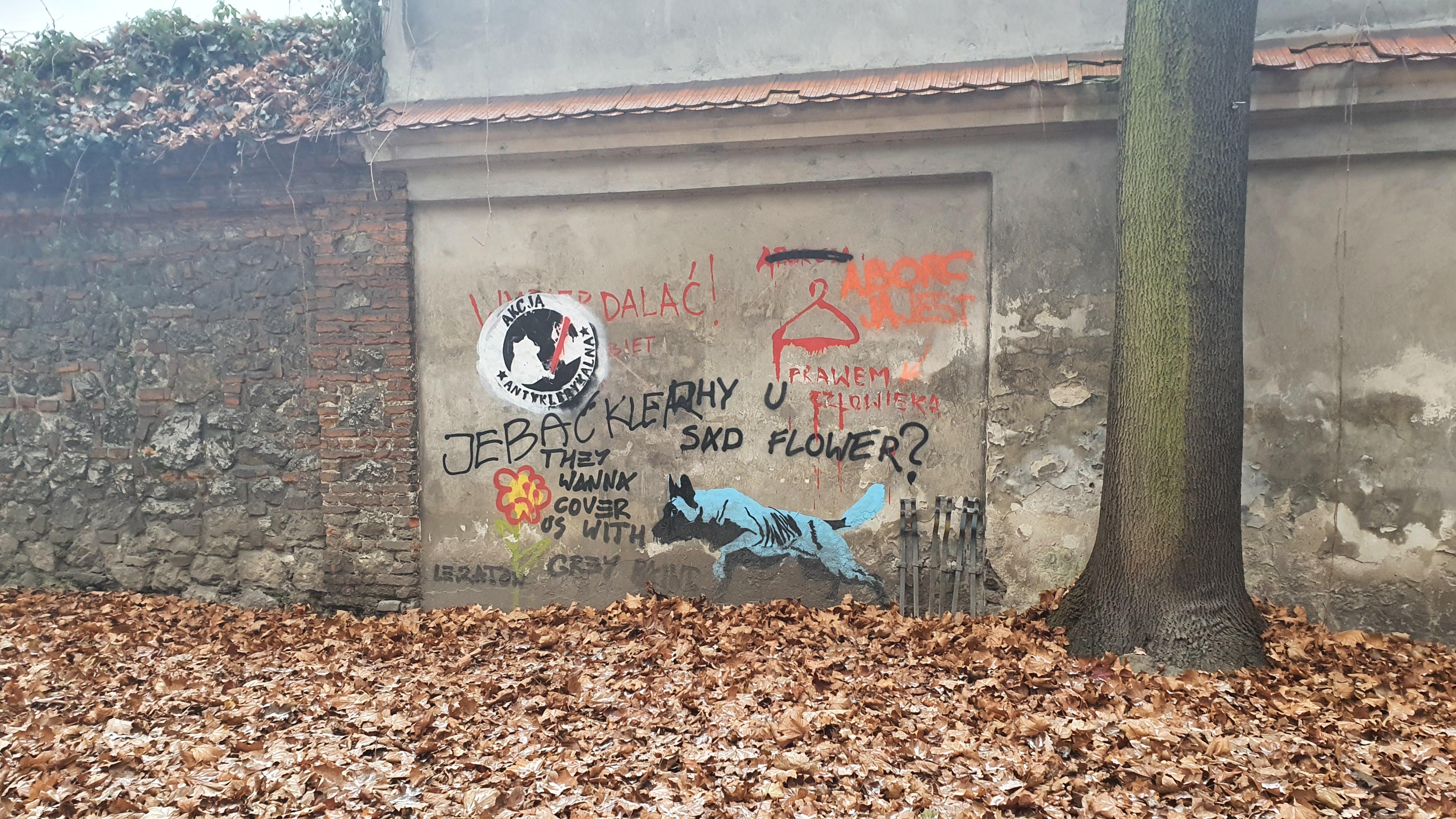 Zdjęcie przed zamalowaniem