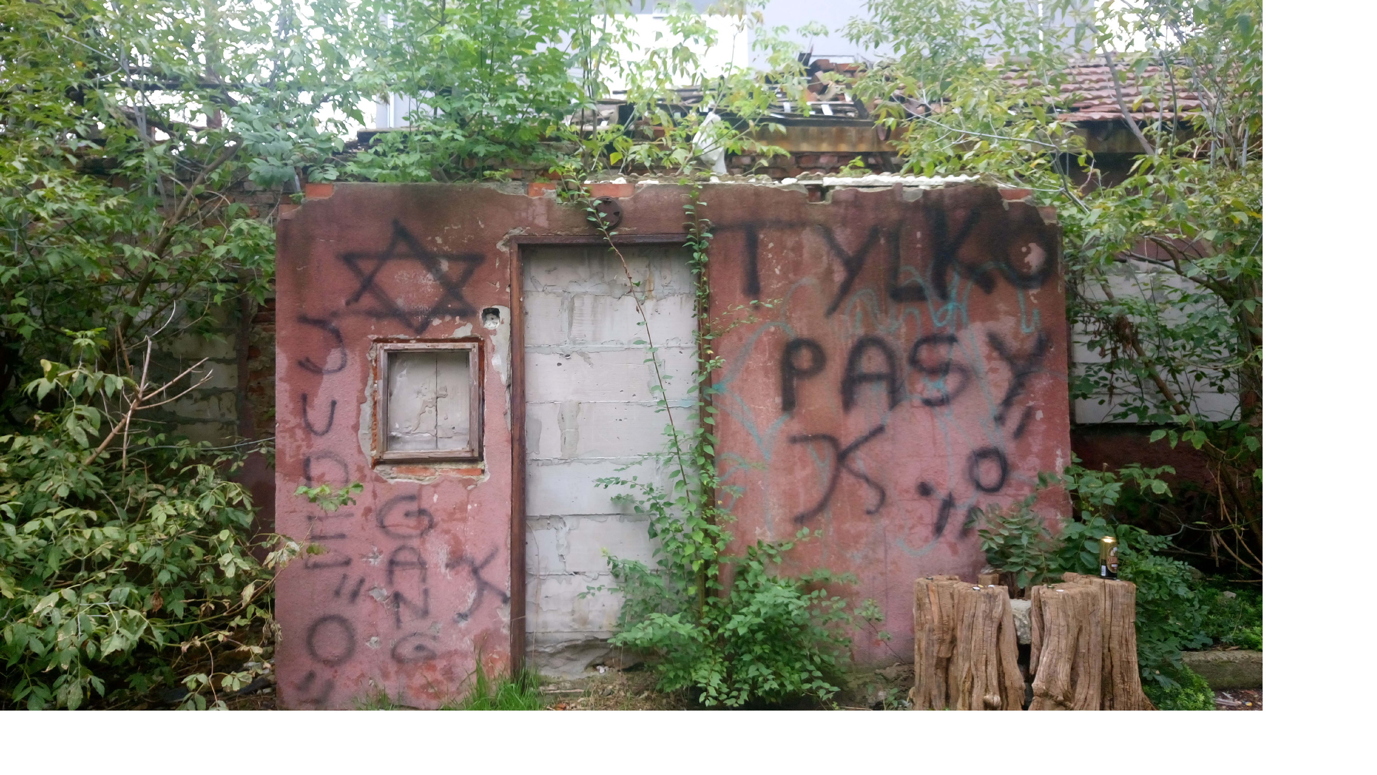 Zdjęcie przed zamalowaniem