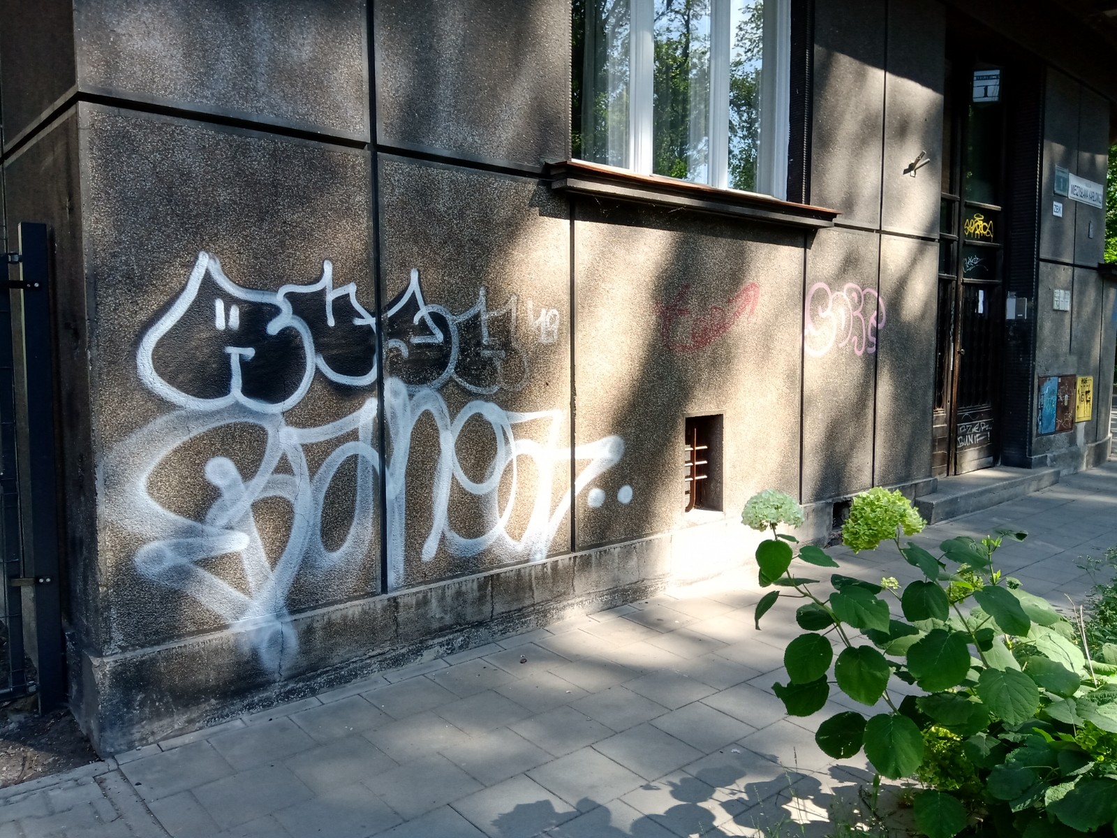 Zdjęcie przed zamalowaniem