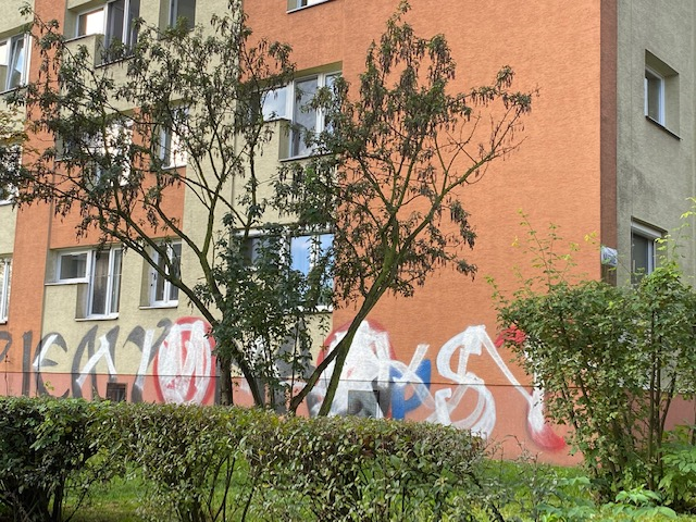 Zdjęcie przed zamalowaniem