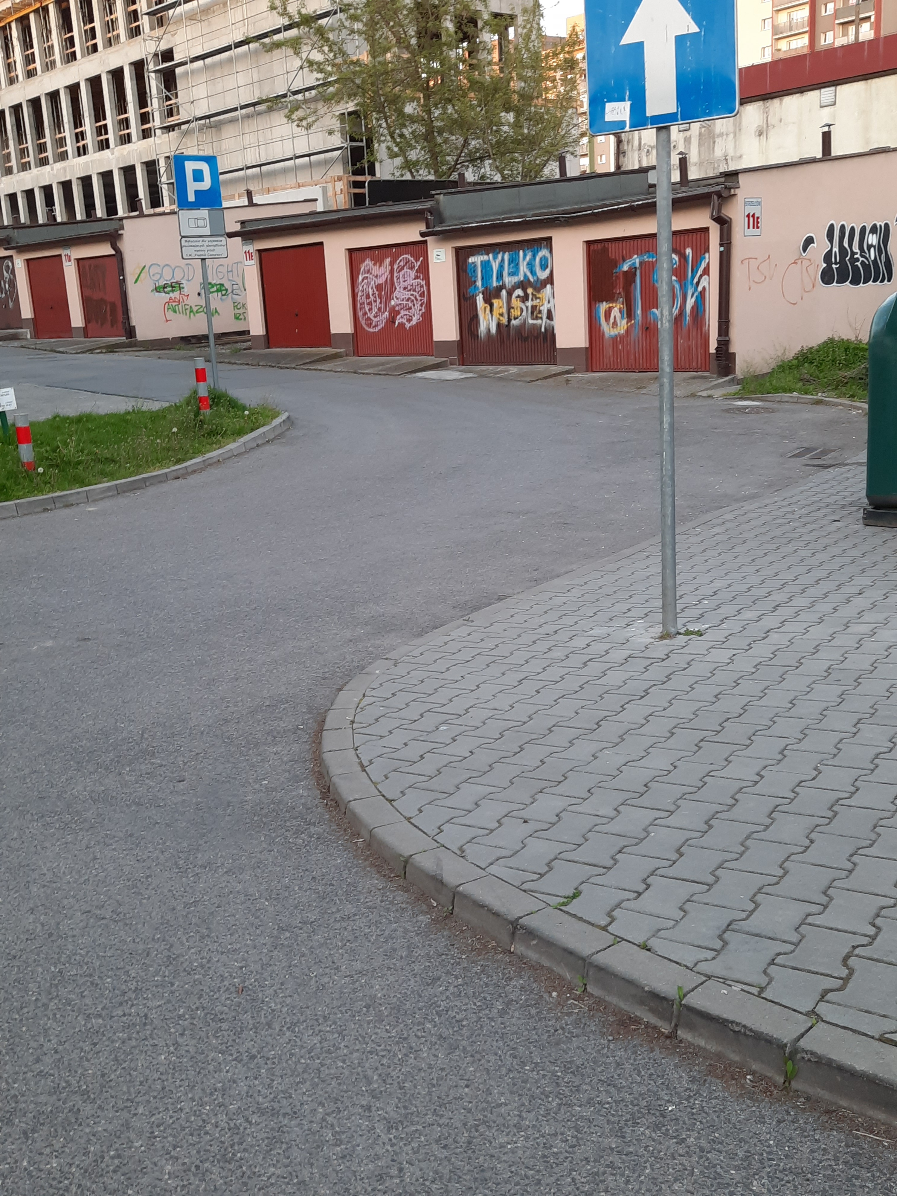 Zdjęcie przed zamalowaniem