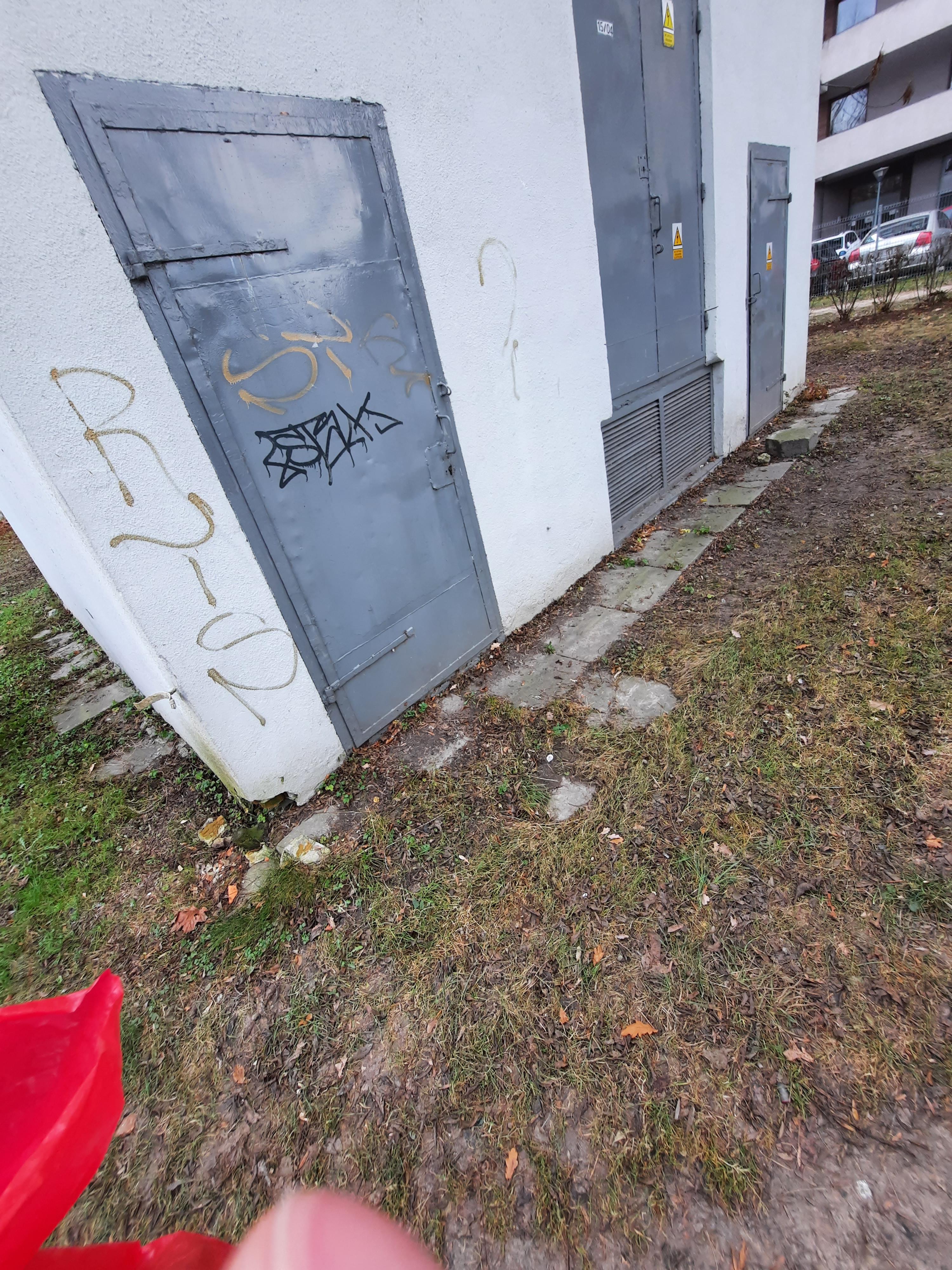 Zdjęcie przed zamalowaniem