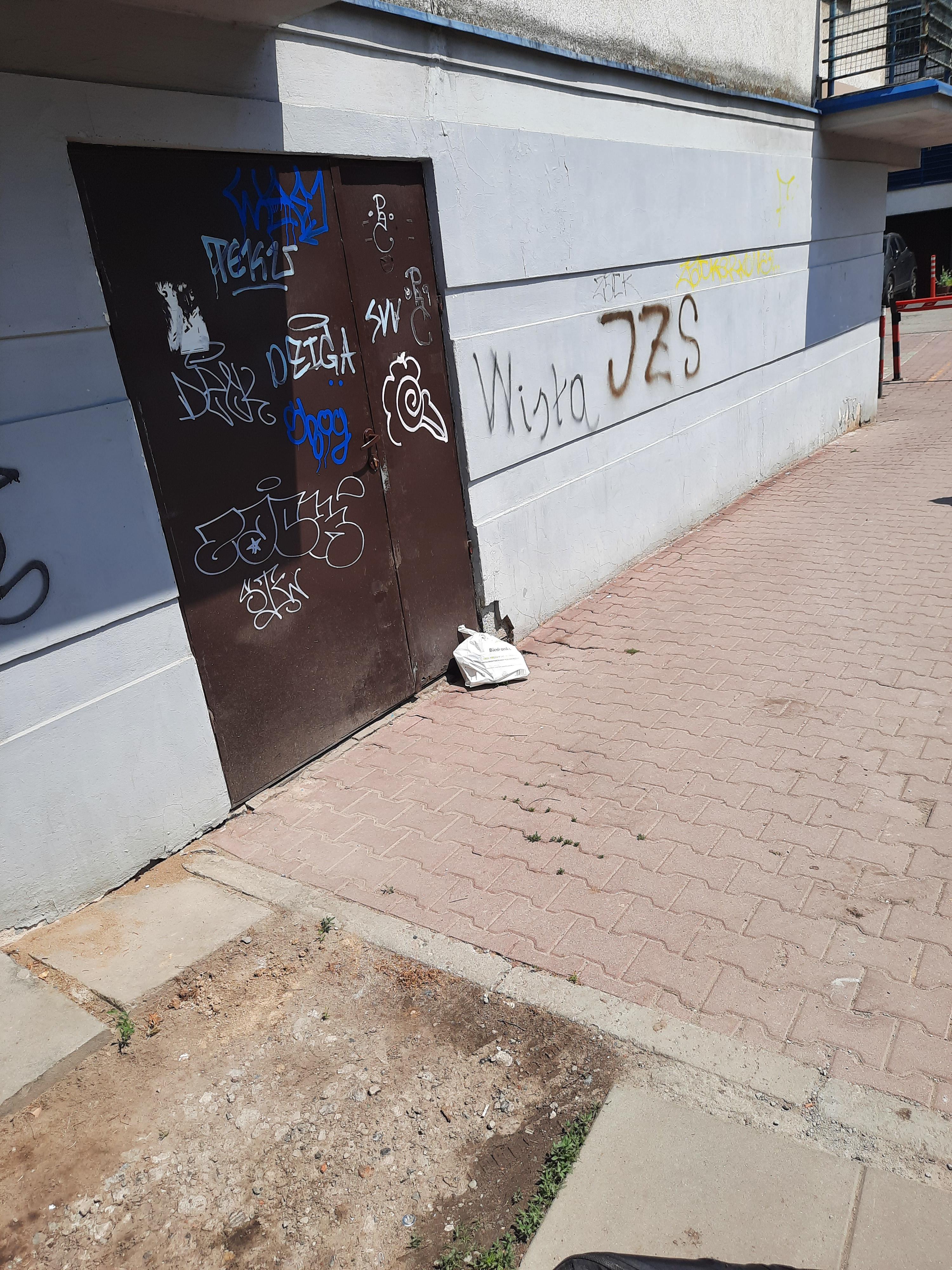 Zdjęcie przed zamalowaniem