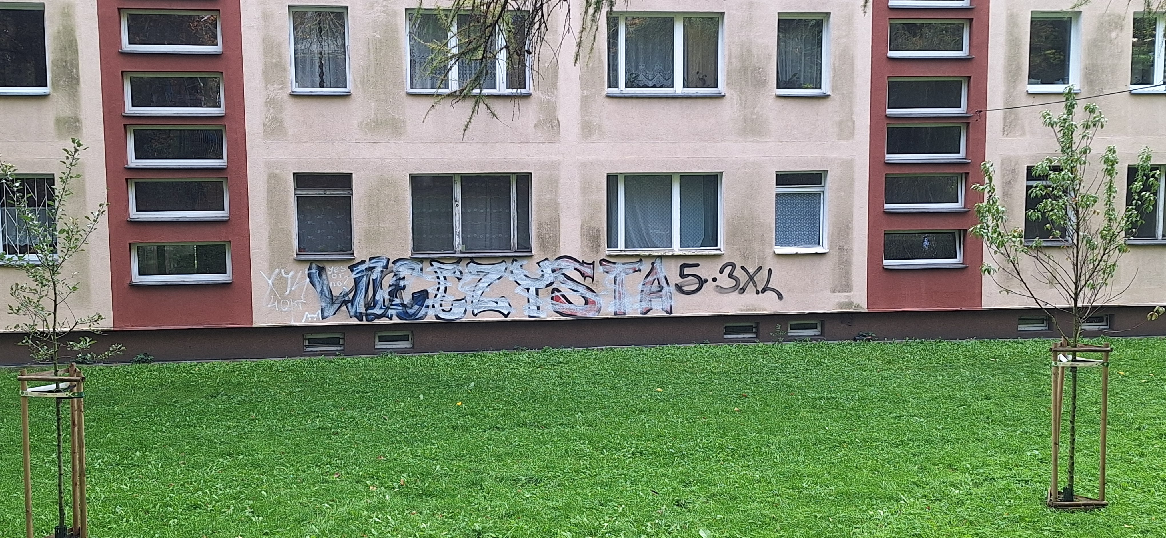 Zdjęcie przed zamalowaniem