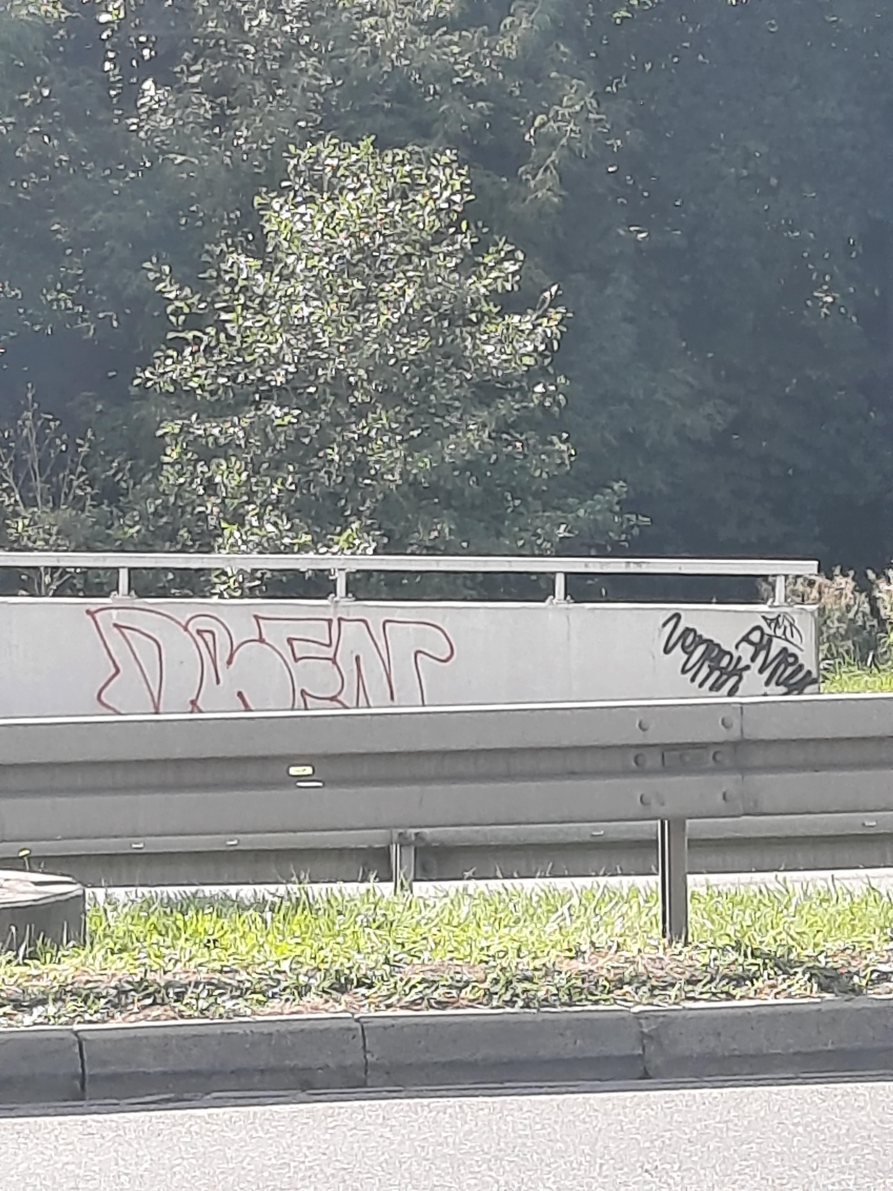 Zdjęcie przed zamalowaniem