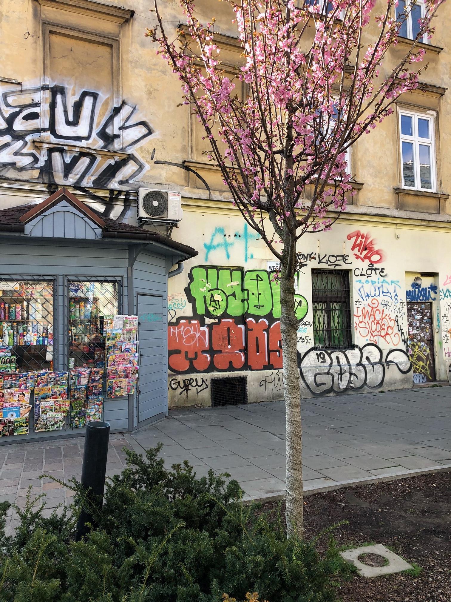 Zdjęcie przed zamalowaniem