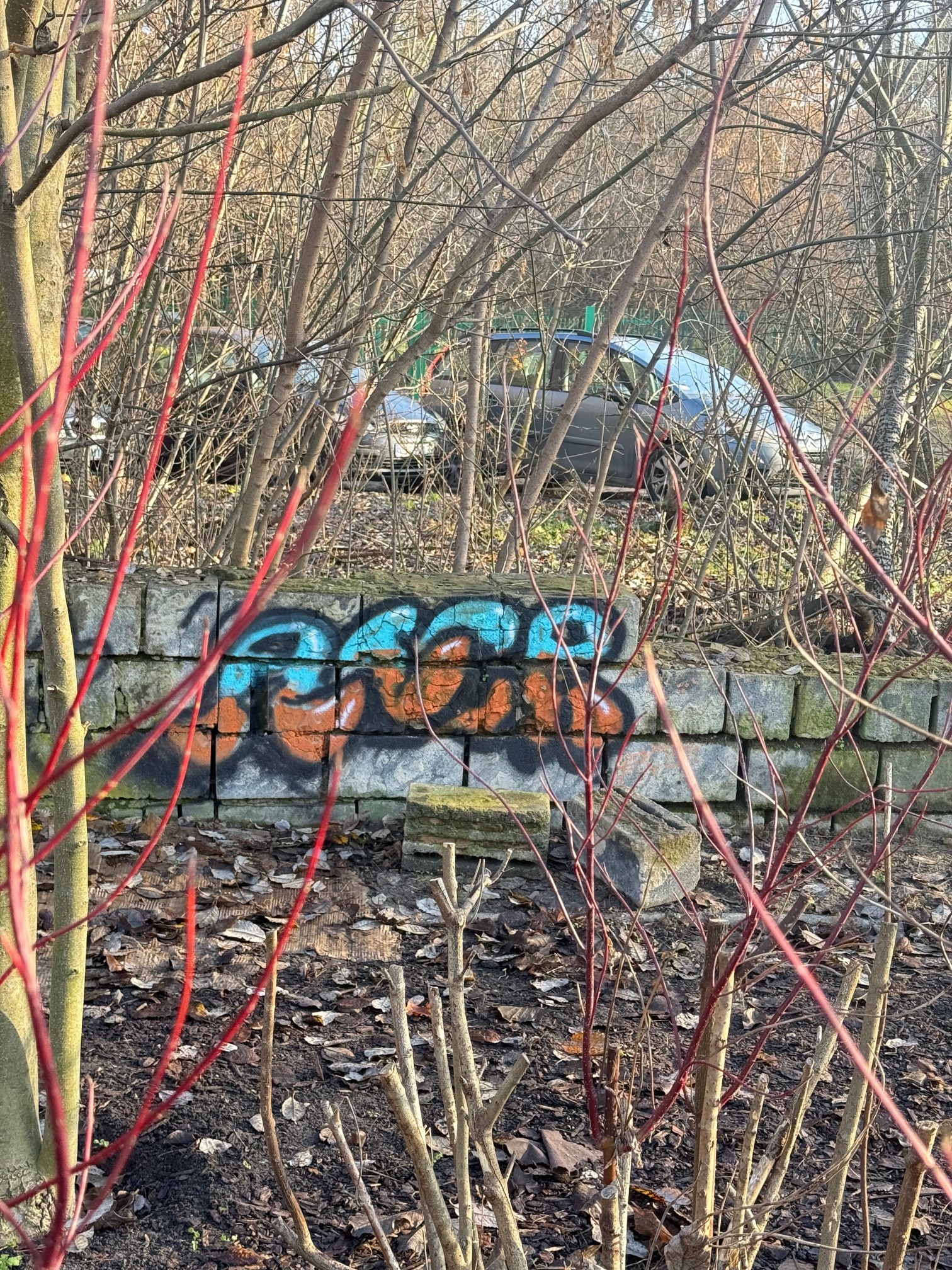 Zdjęcie przed zamalowaniem