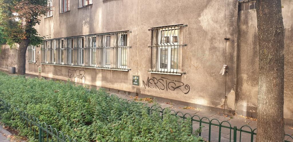 Zdjęcie przed zamalowaniem