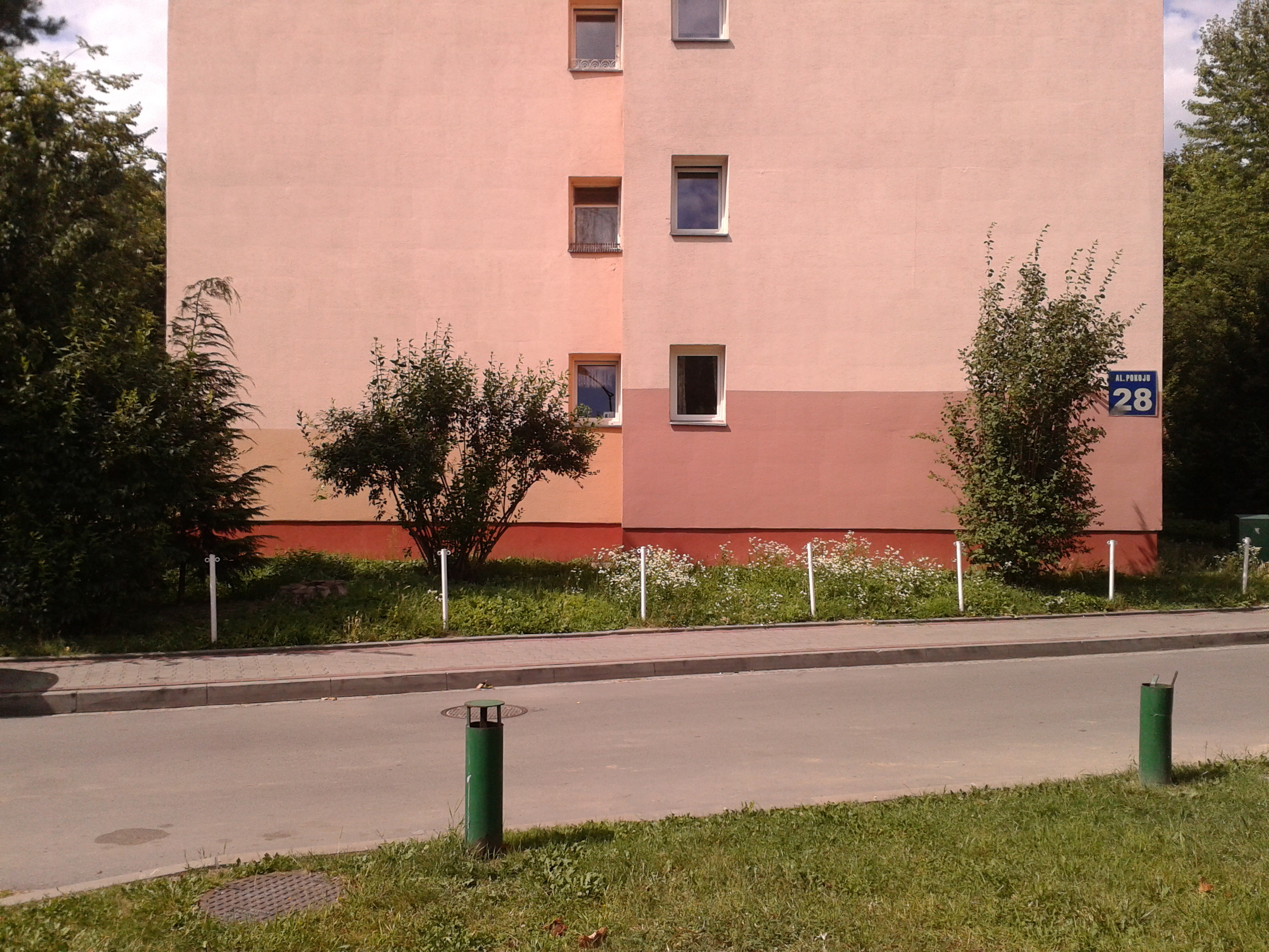 Zdjęcie przed zamalowaniem