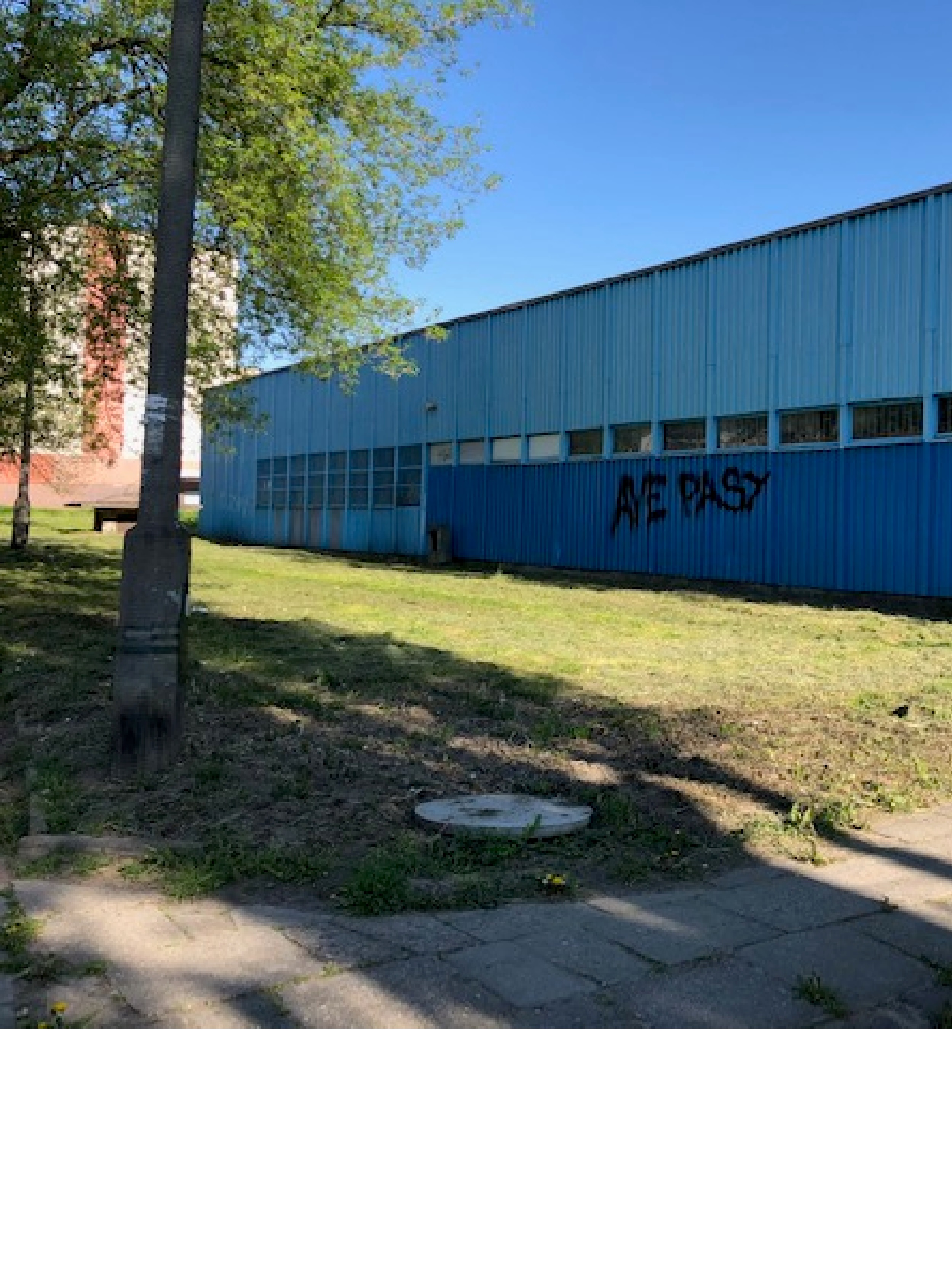 Zdjęcie przed zamalowaniem