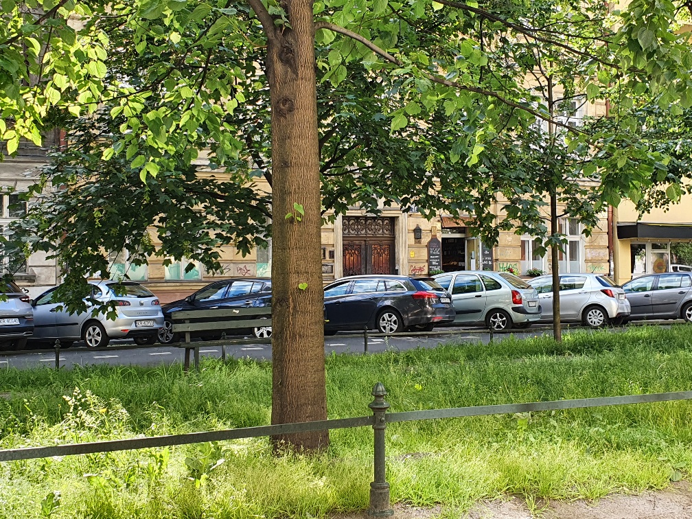 Zdjęcie przed zamalowaniem