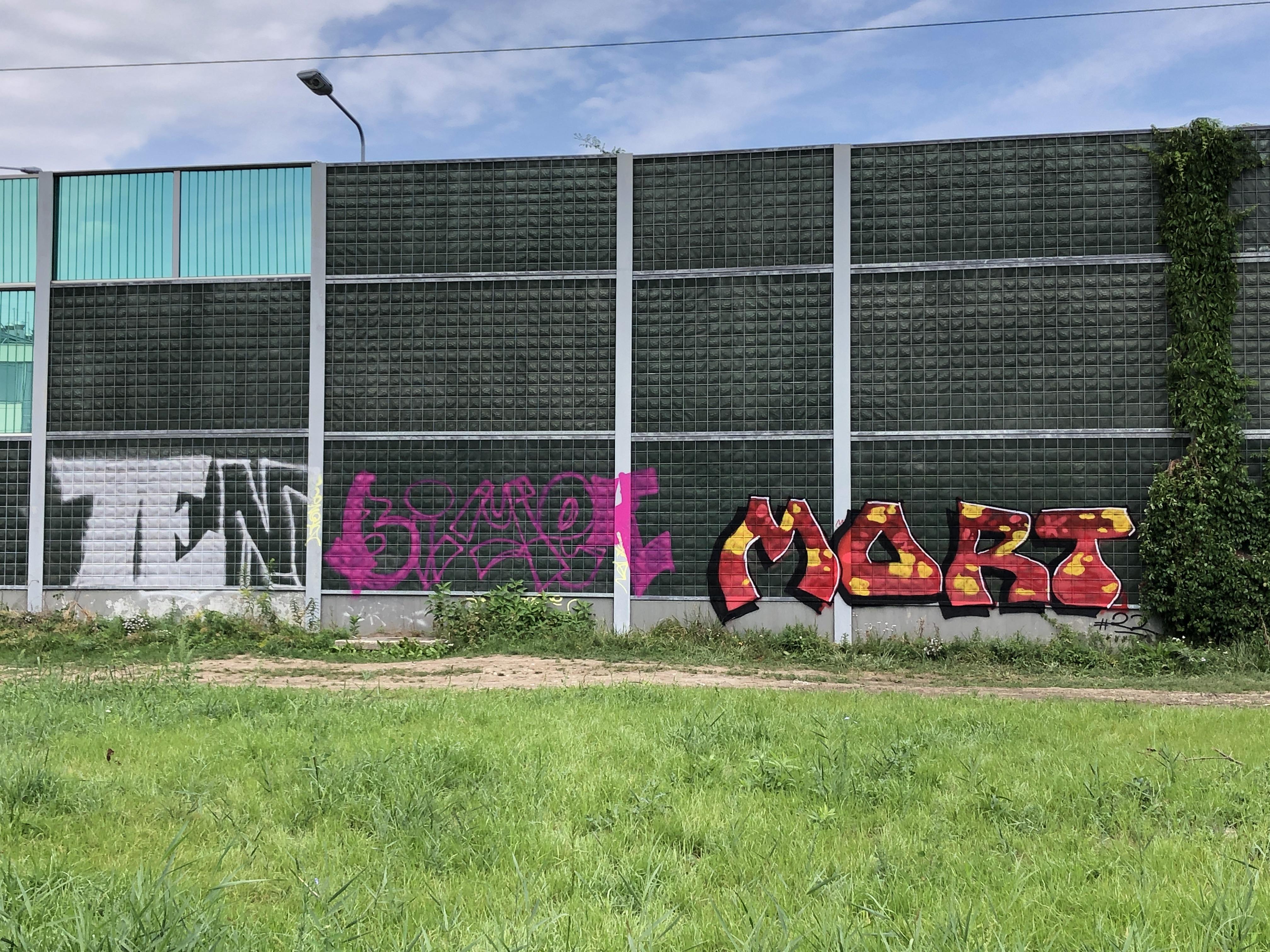 Zdjęcie przed zamalowaniem