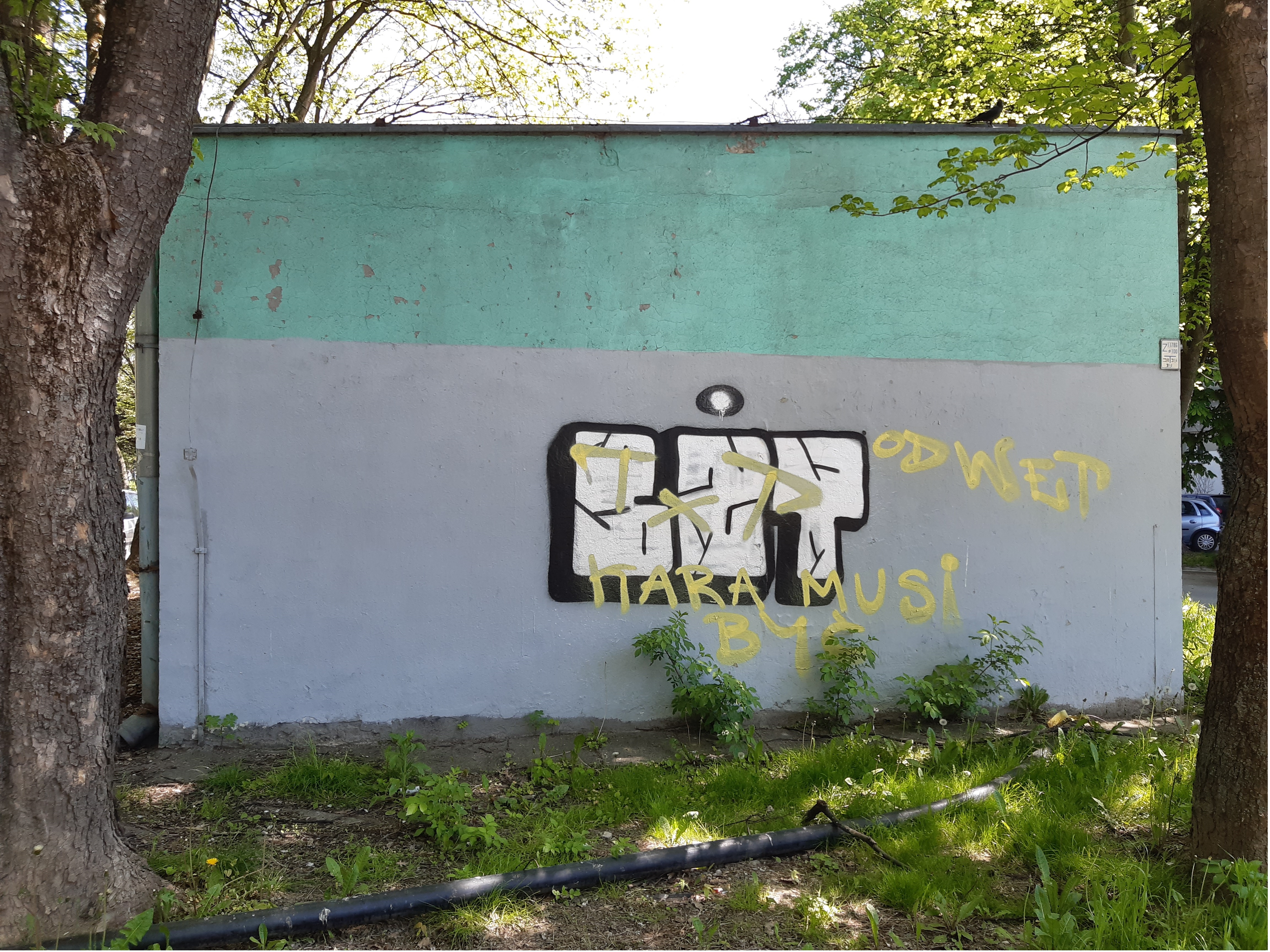 Zdjęcie przed zamalowaniem