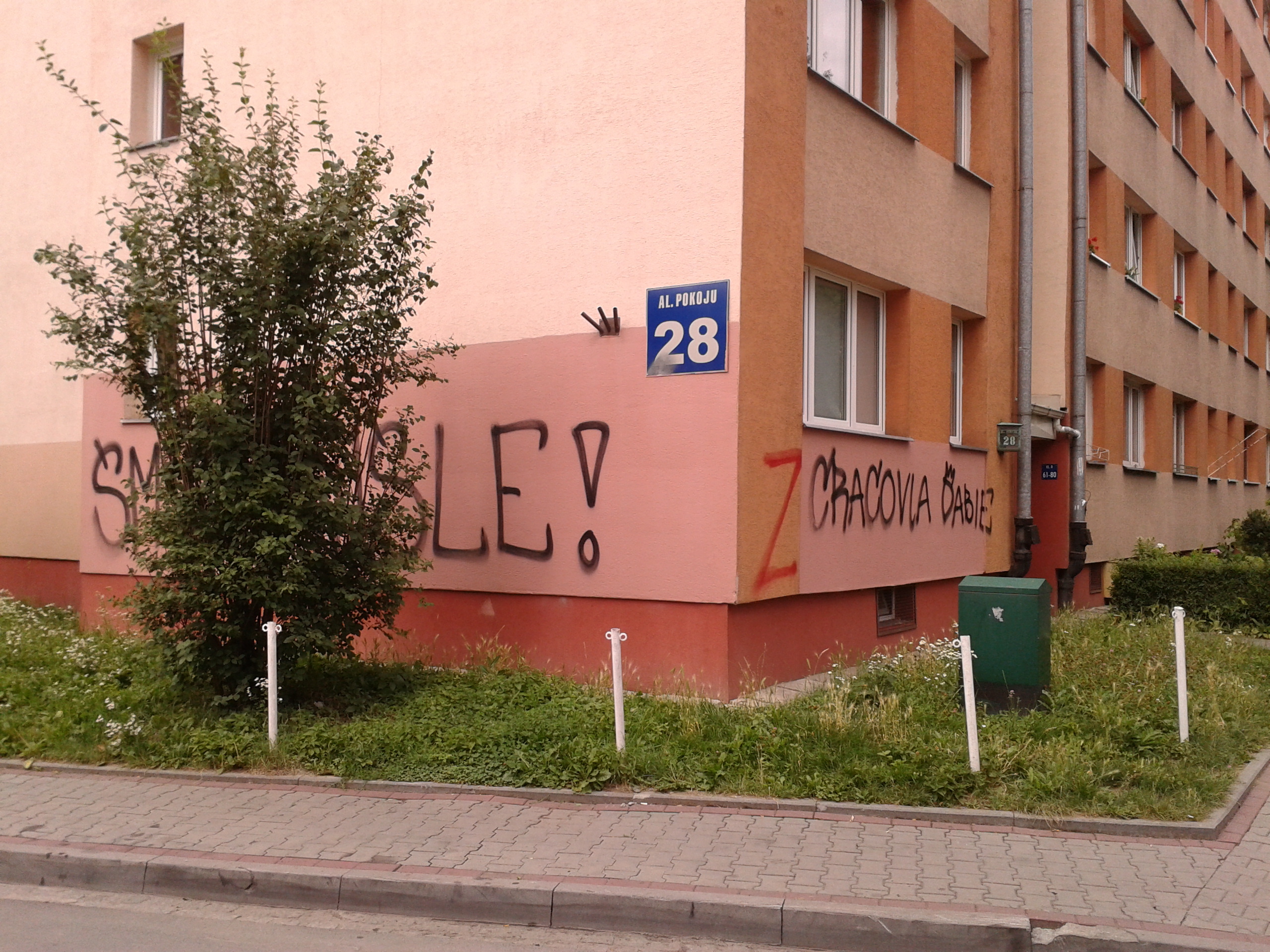 Zdjęcie przed zamalowaniem