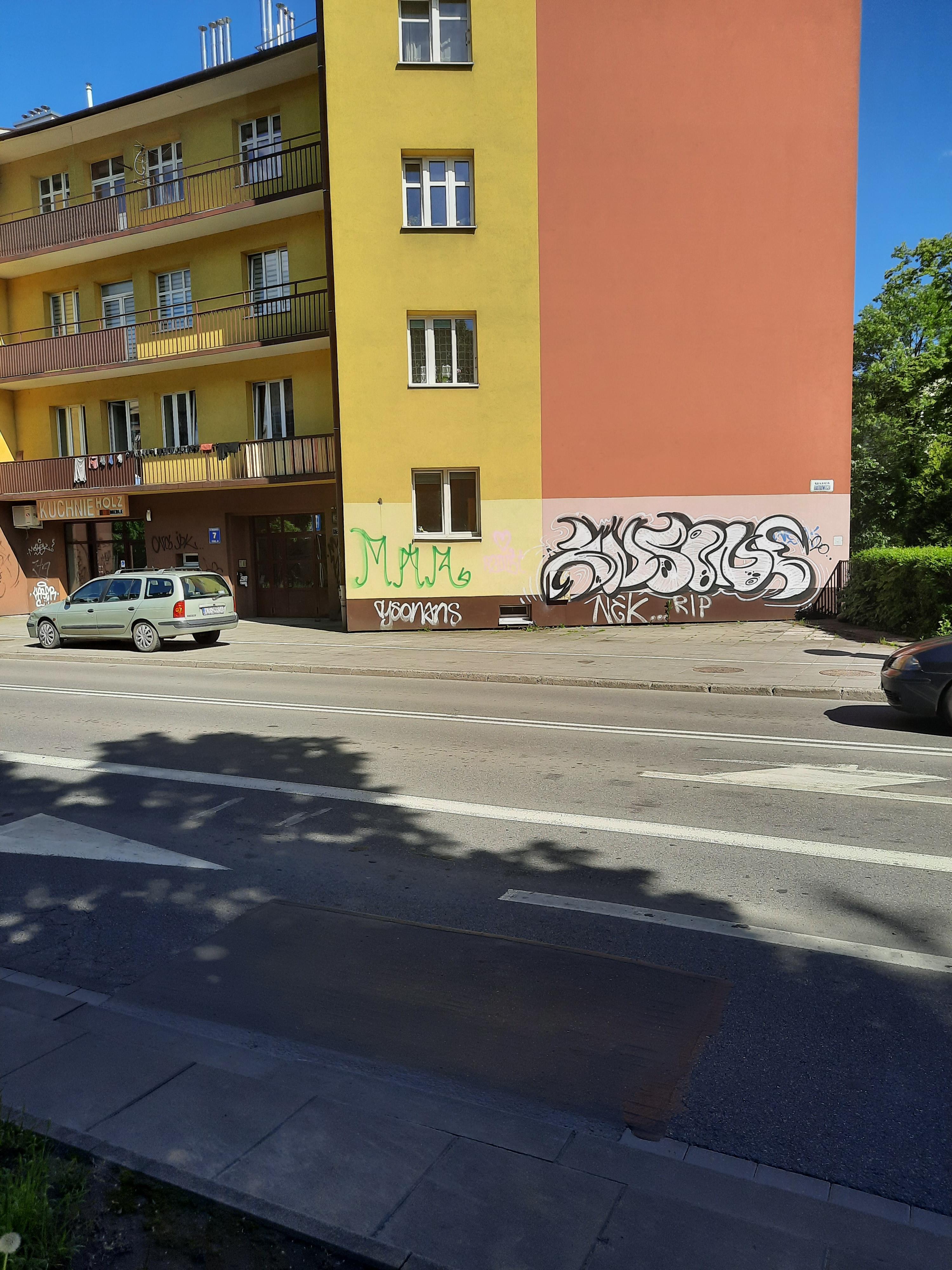 Zdjęcie przed zamalowaniem