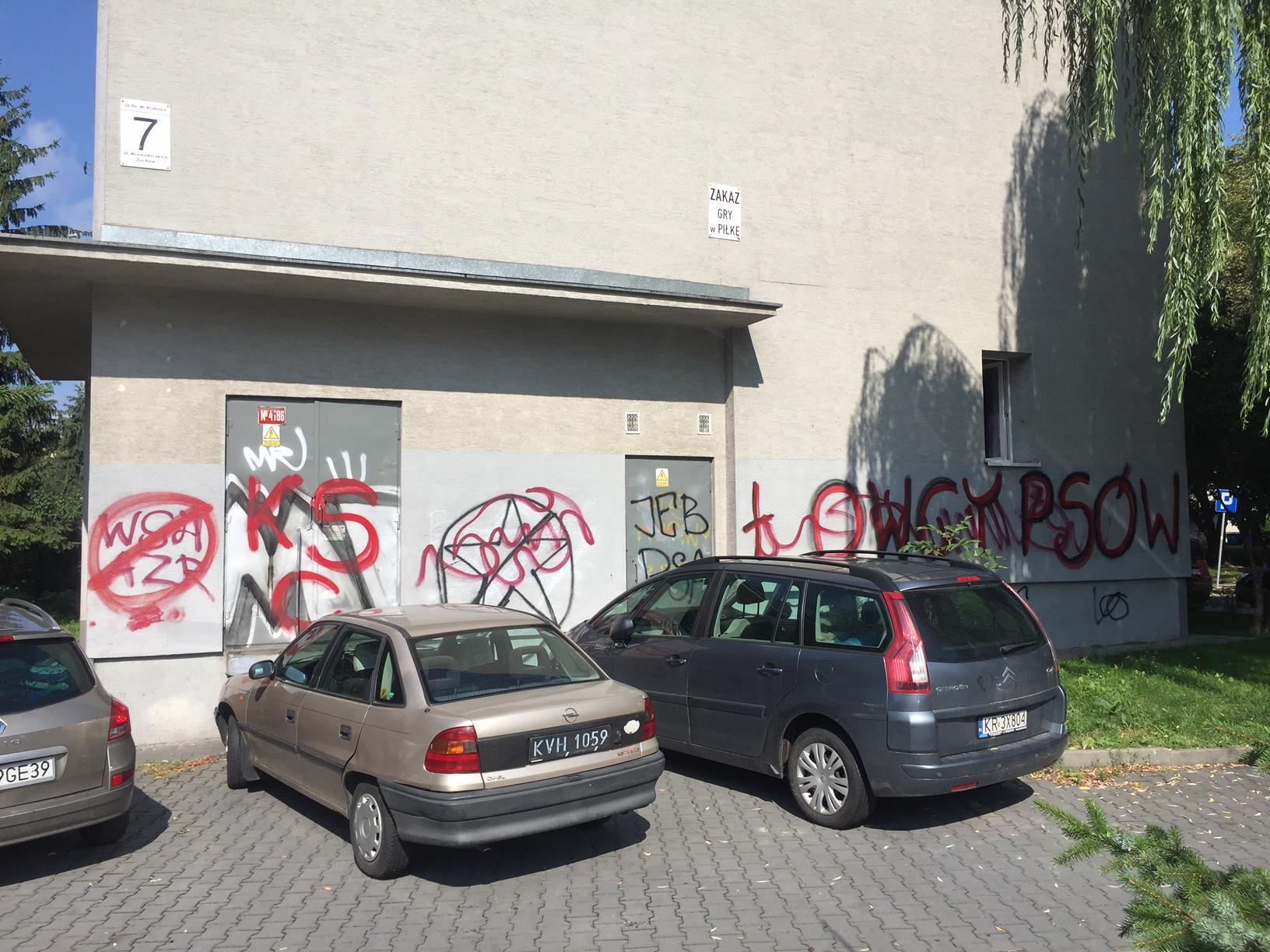 Zdjęcie przed zamalowaniem