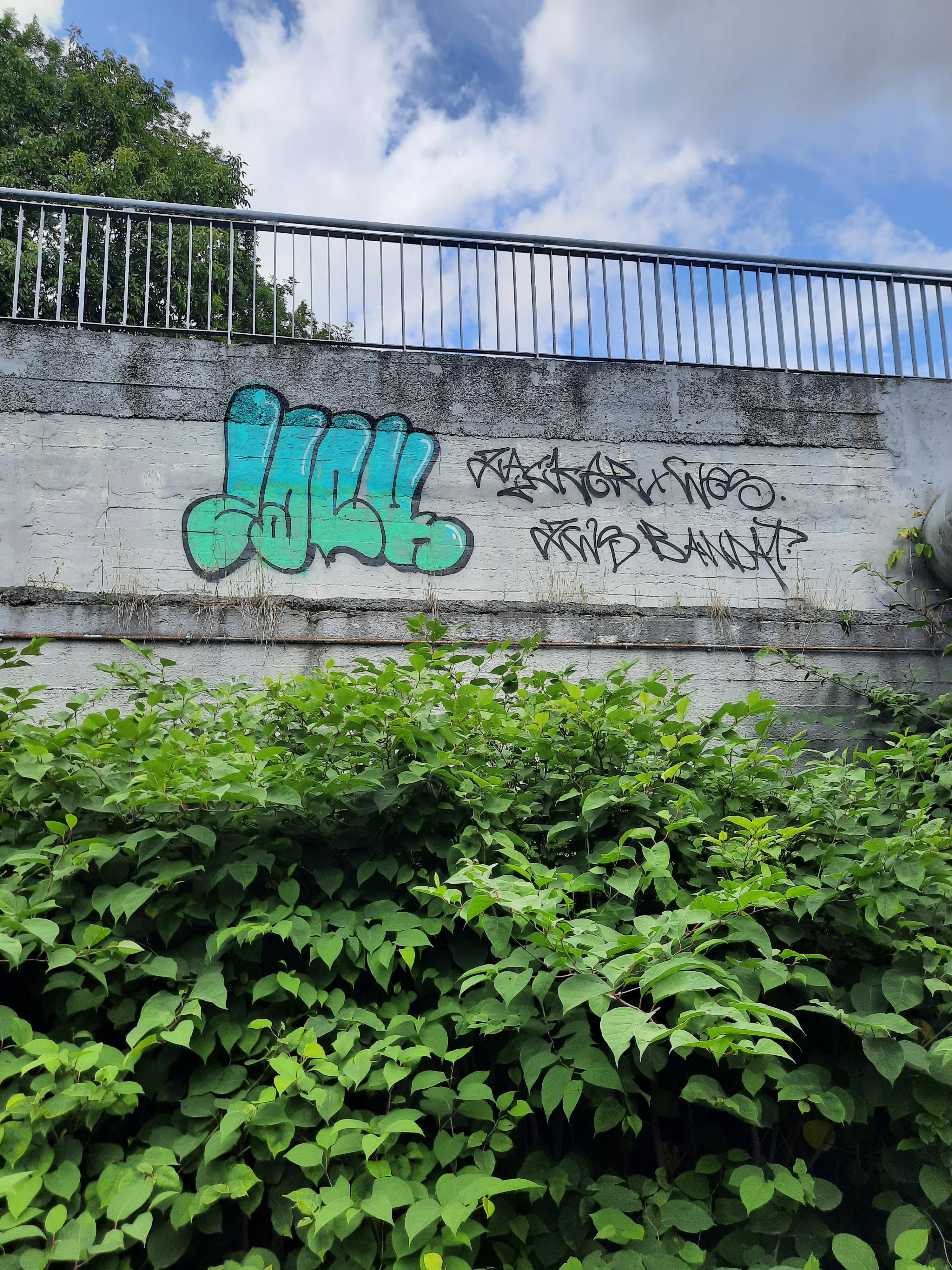 Zdjęcie przed zamalowaniem
