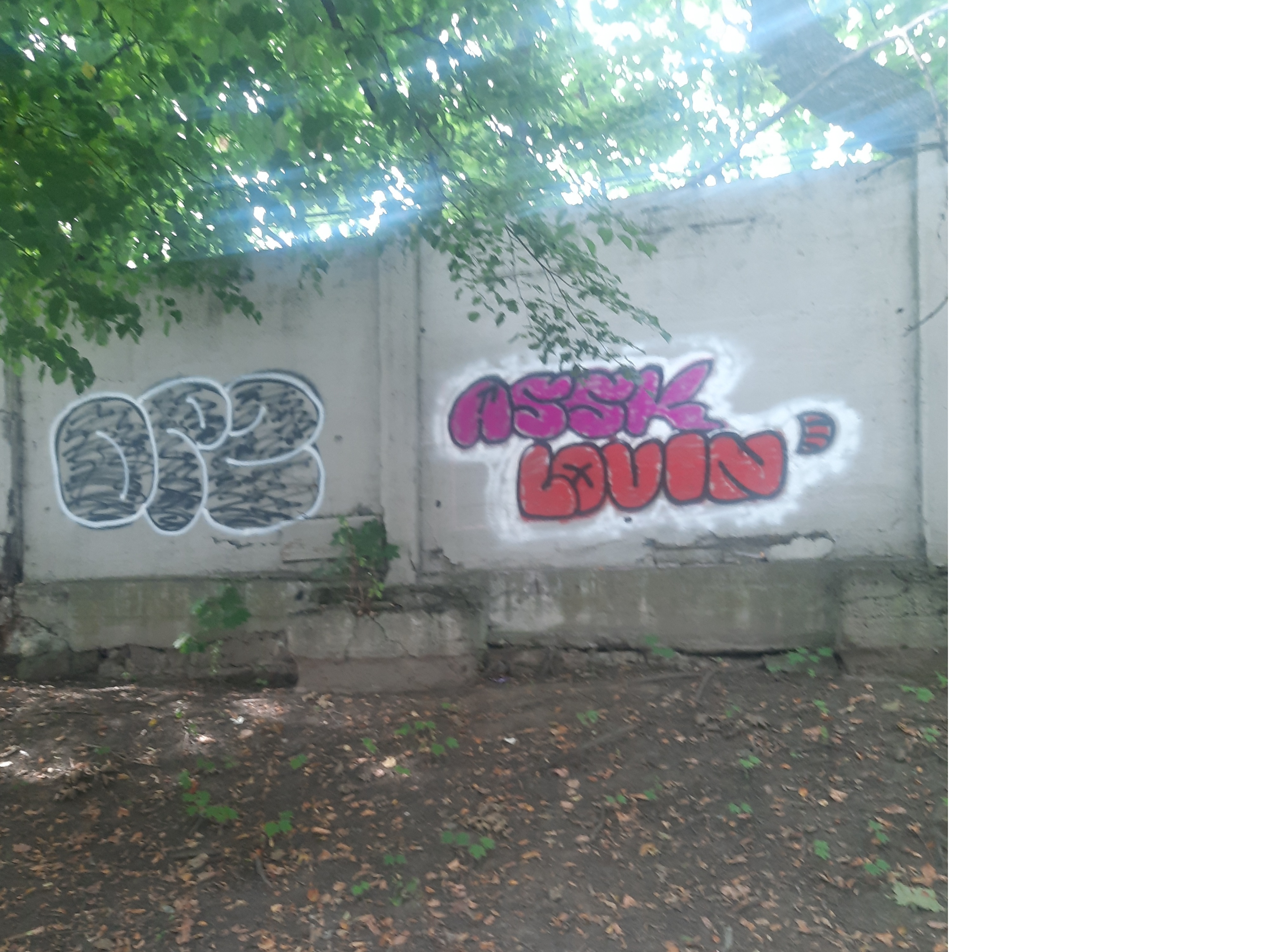 Zdjęcie przed zamalowaniem