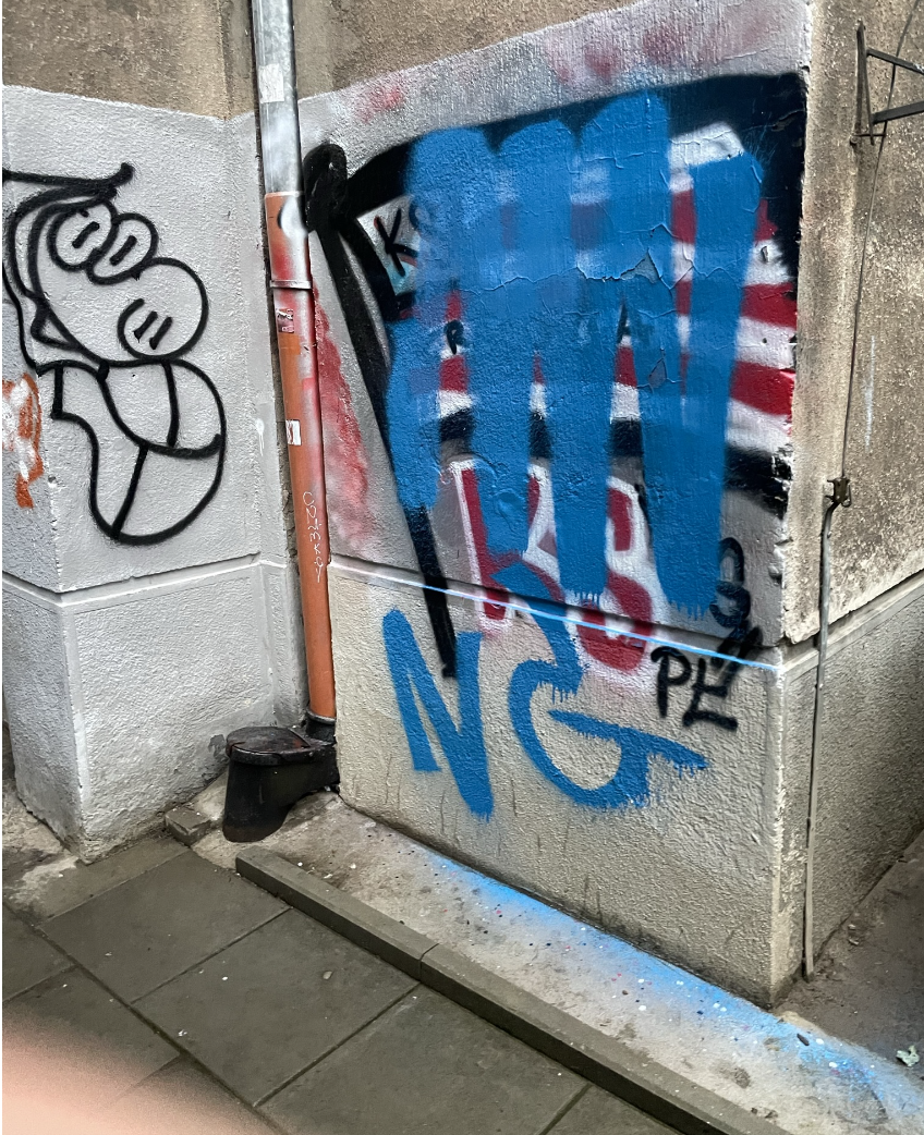 Zdjęcie przed zamalowaniem