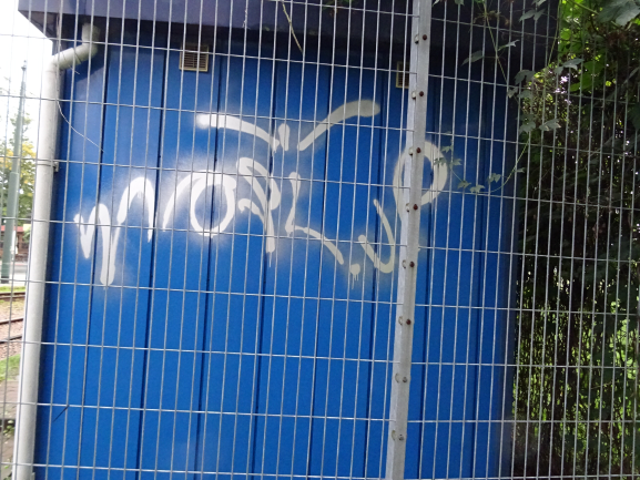 Zdjęcie przed zamalowaniem