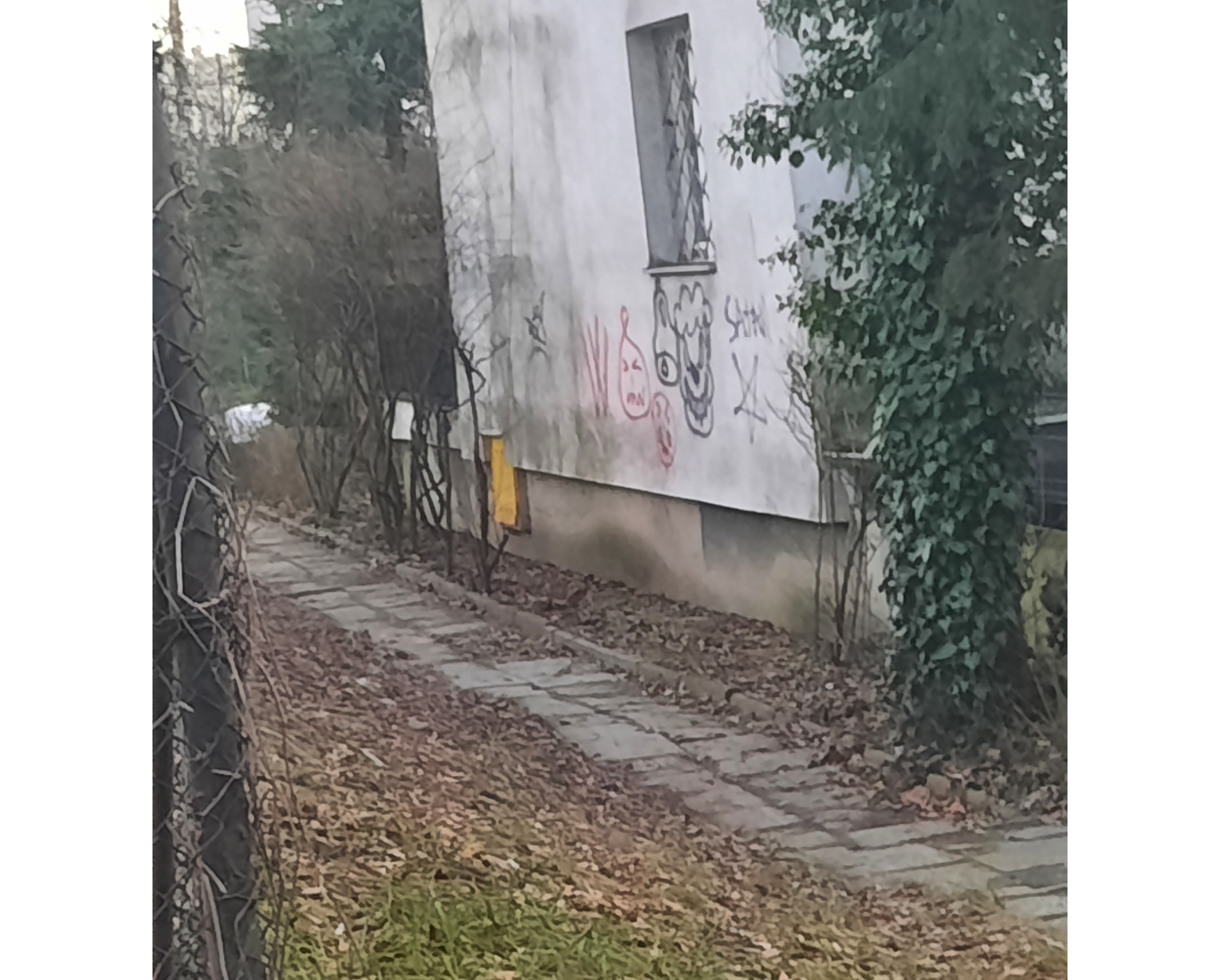 Zdjęcie przed zamalowaniem