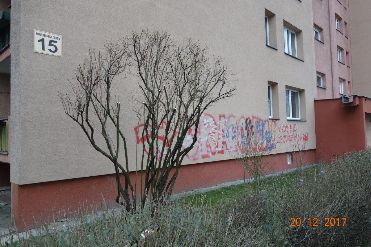 Zdjęcie przed zamalowaniem