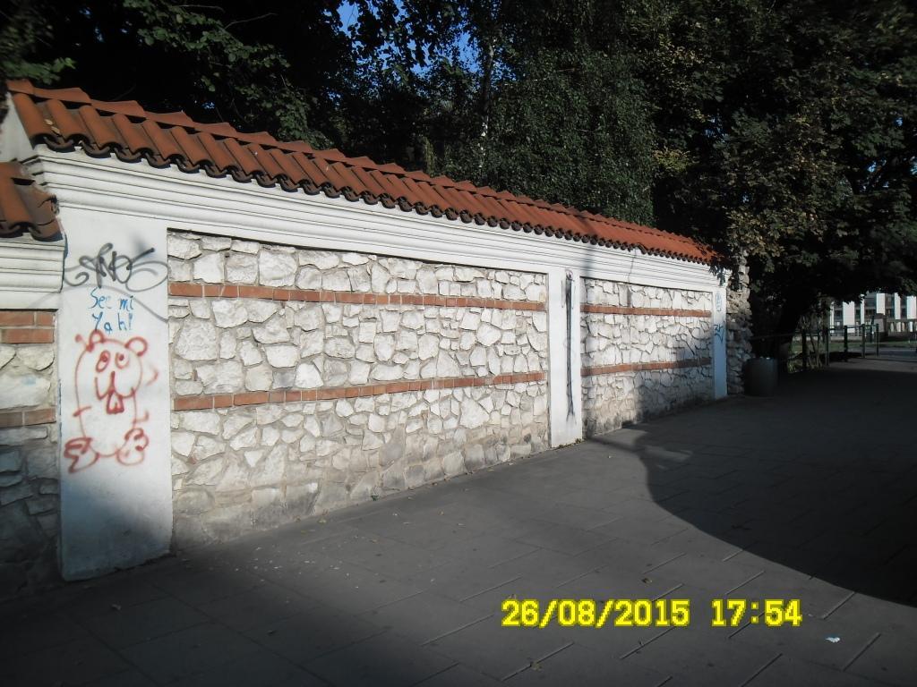 Zdjęcie przed zamalowaniem