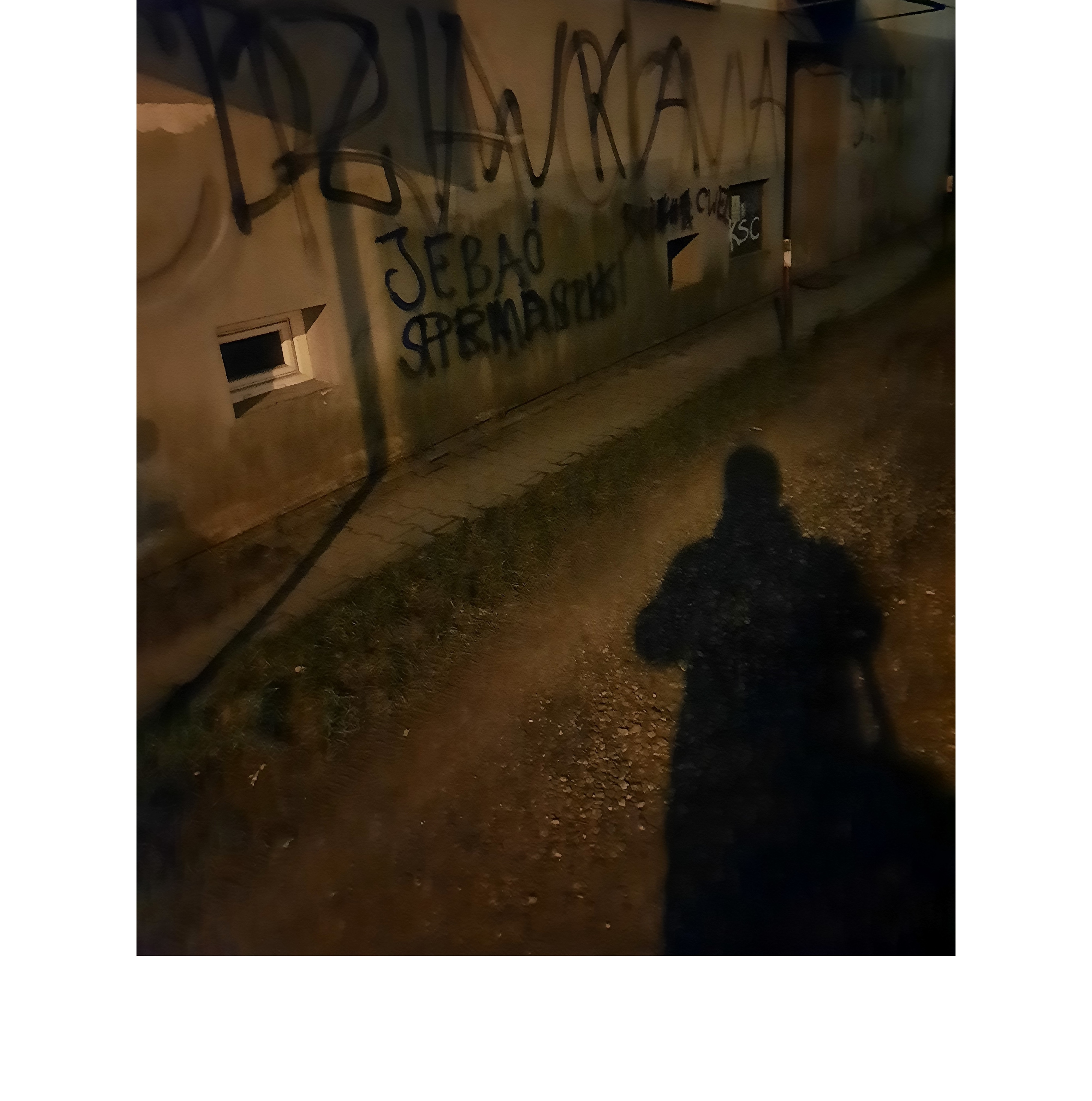 Zdjęcie przed zamalowaniem