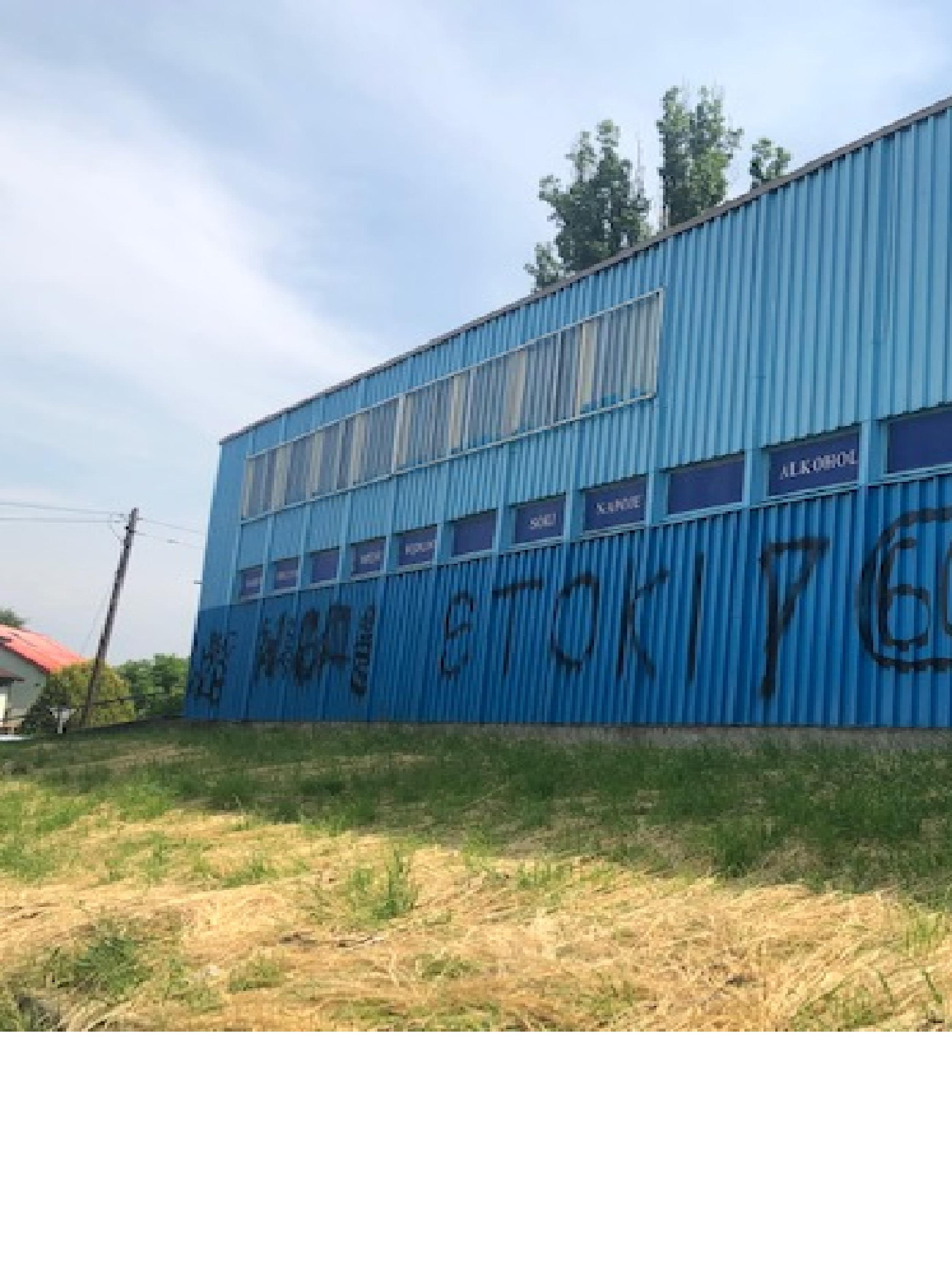 Zdjęcie przed zamalowaniem