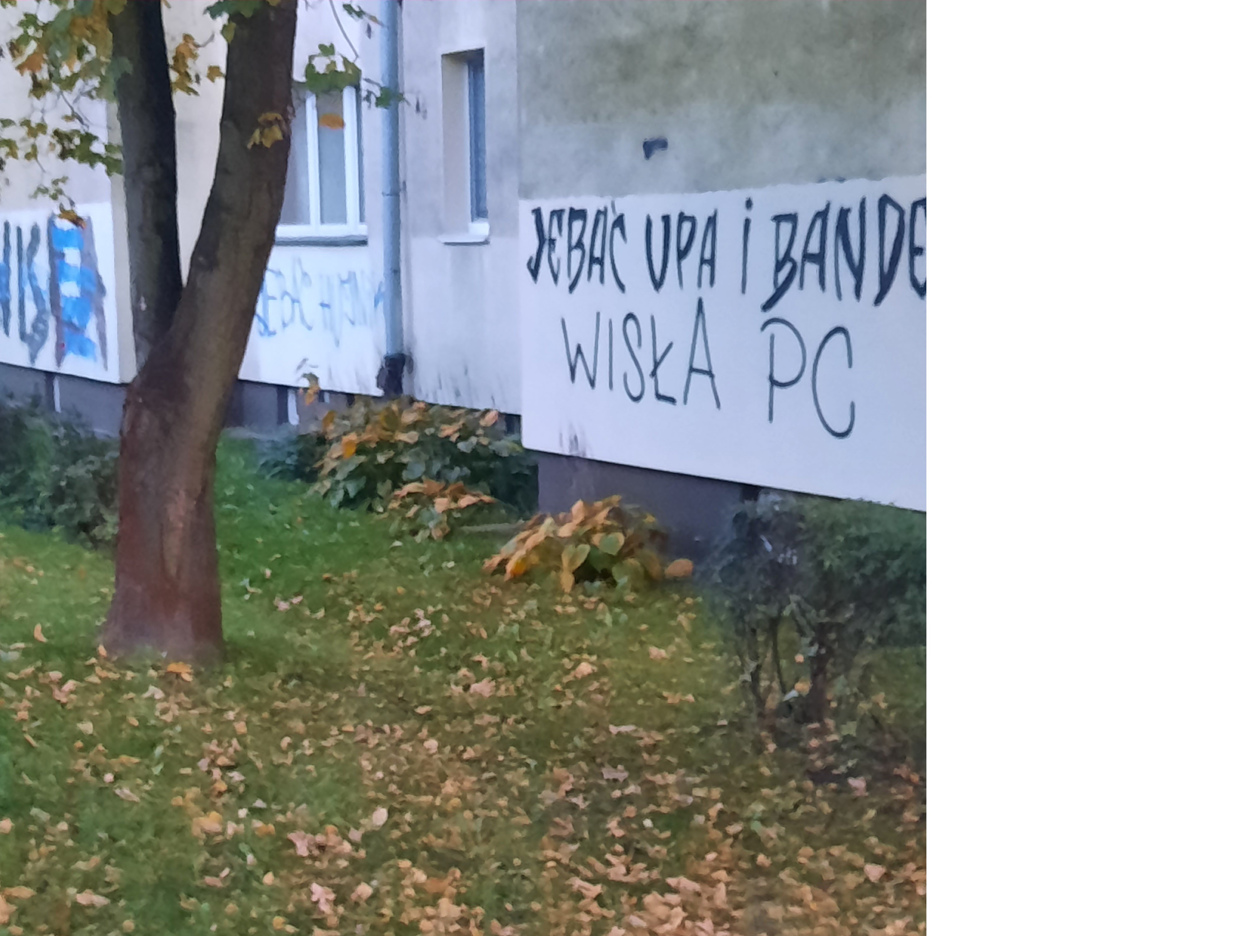 Zdjęcie przed zamalowaniem